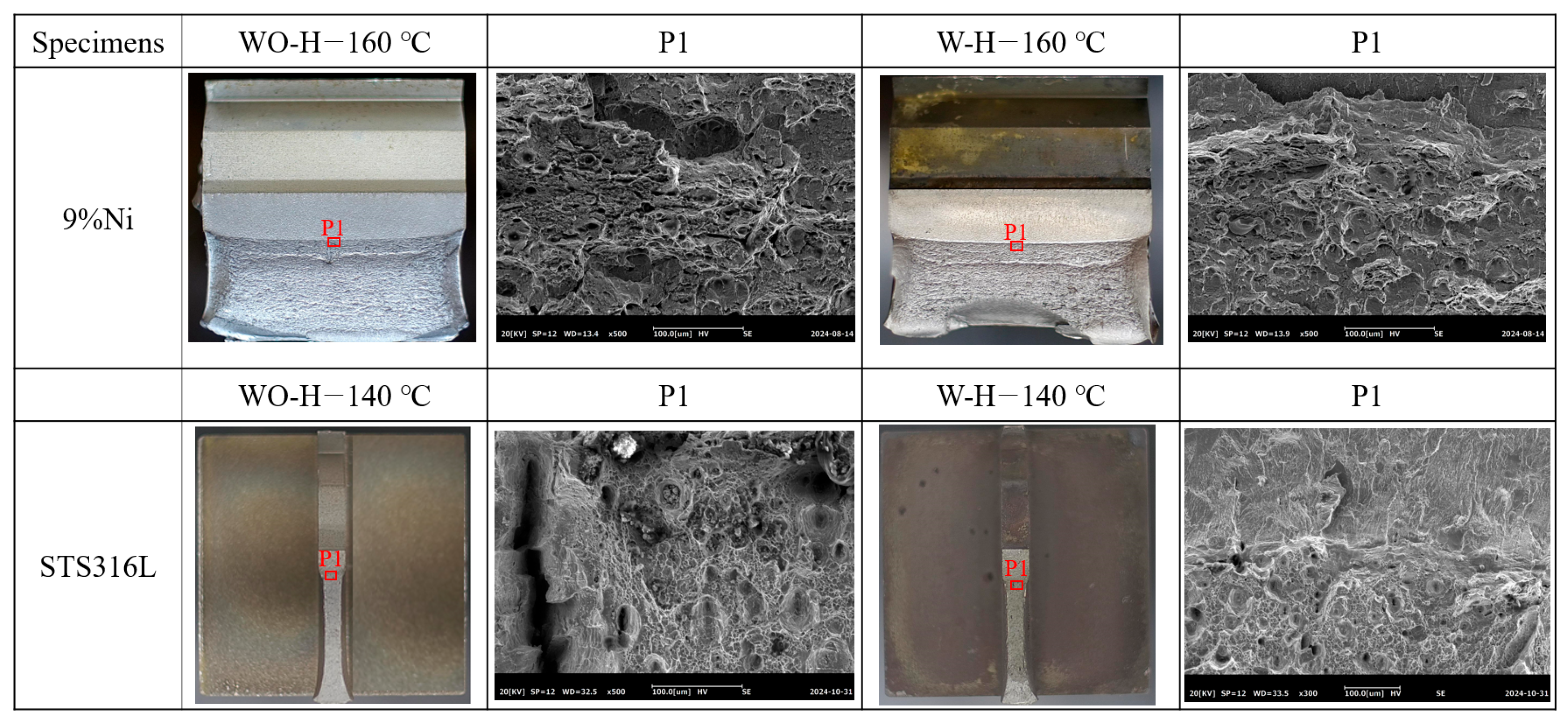 Metals 15 01139 g013