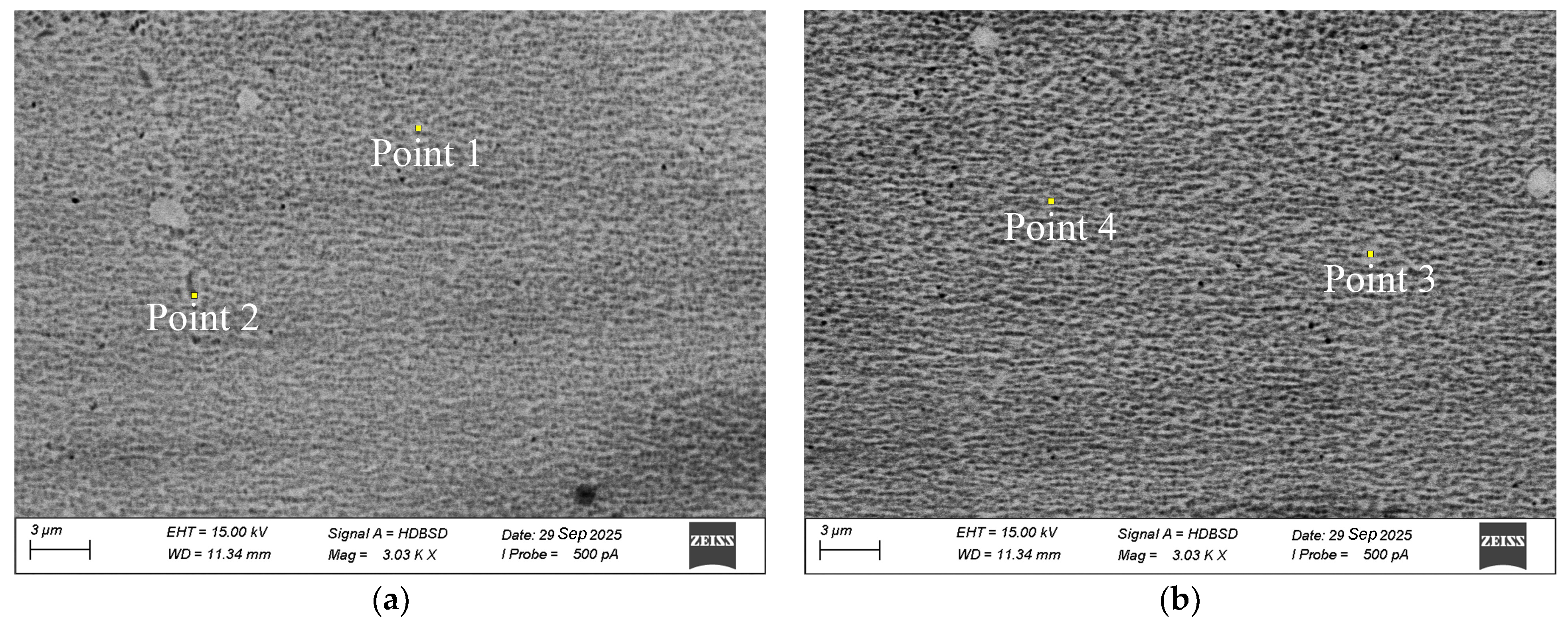 Metals 15 01140 g004
