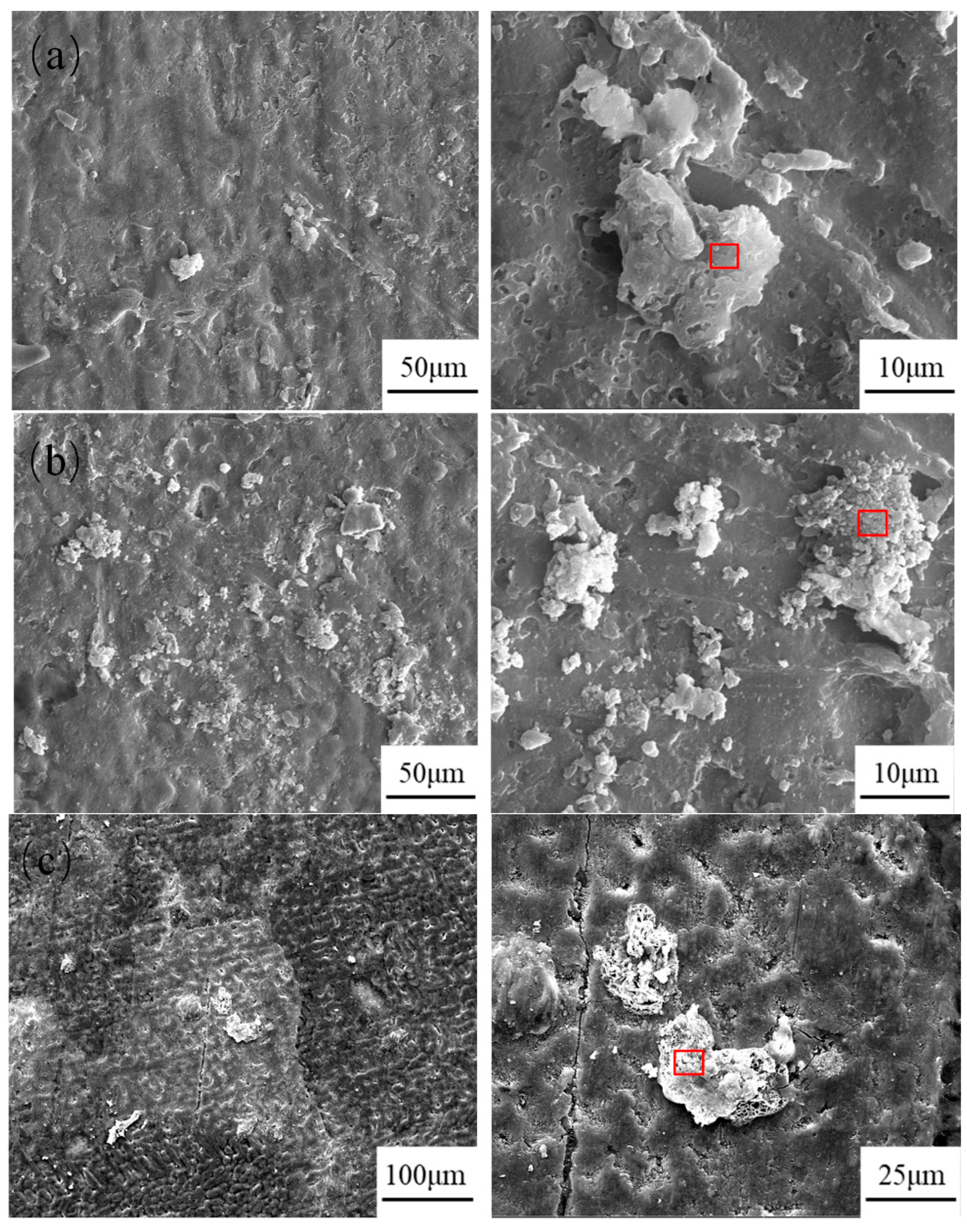 Metals 15 01143 g006