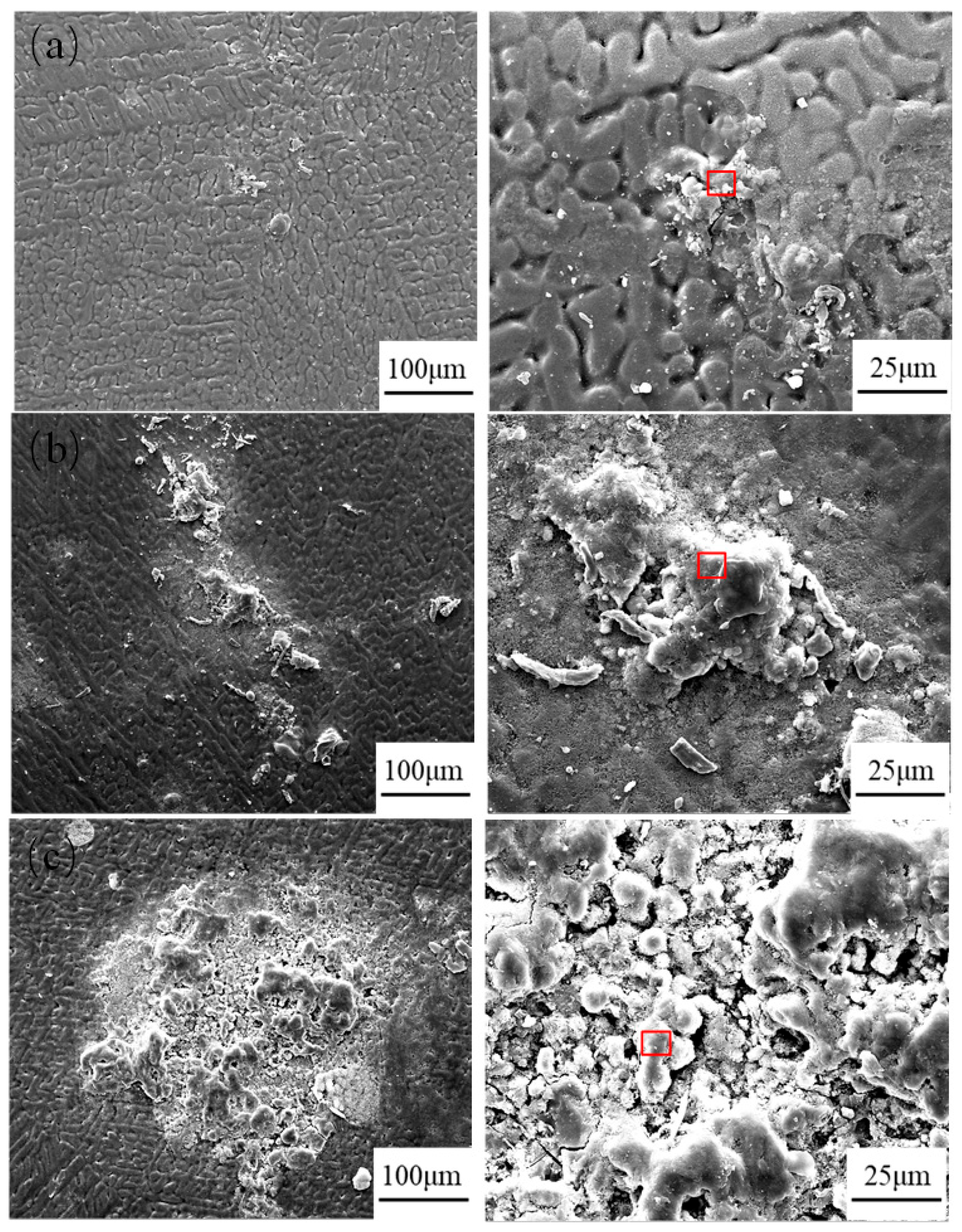 Metals 15 01143 g013