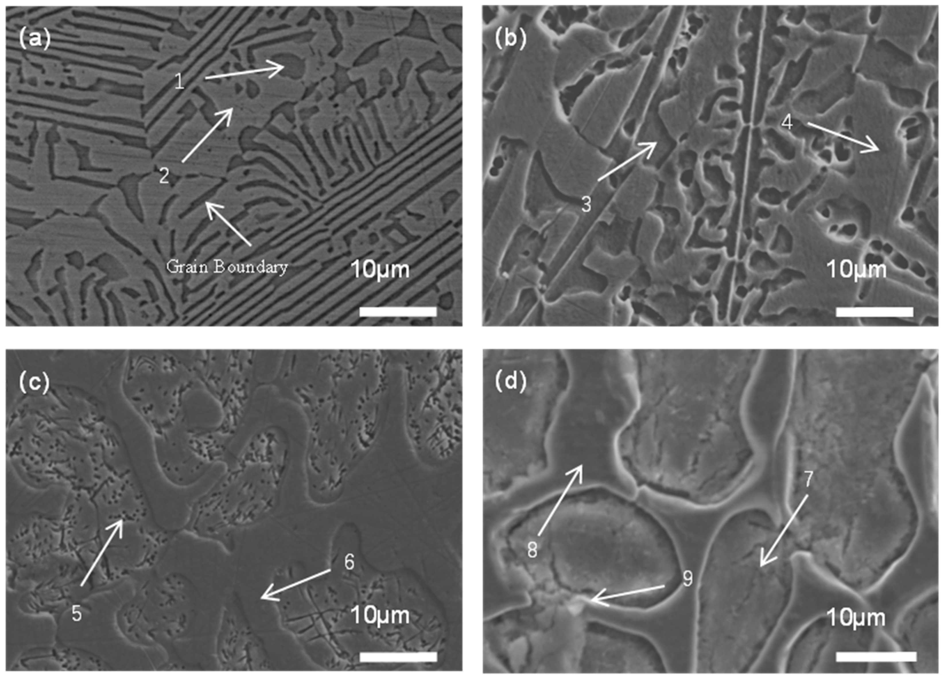 Metals 15 01146 g003