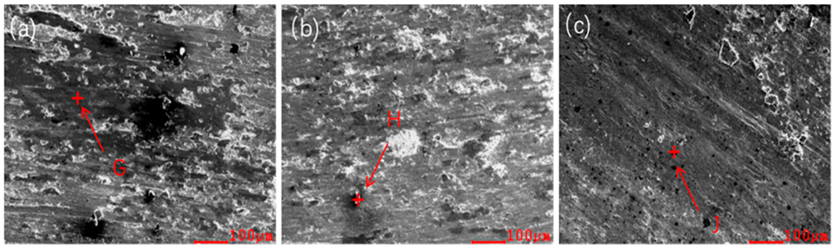 Metals 15 01146 g010