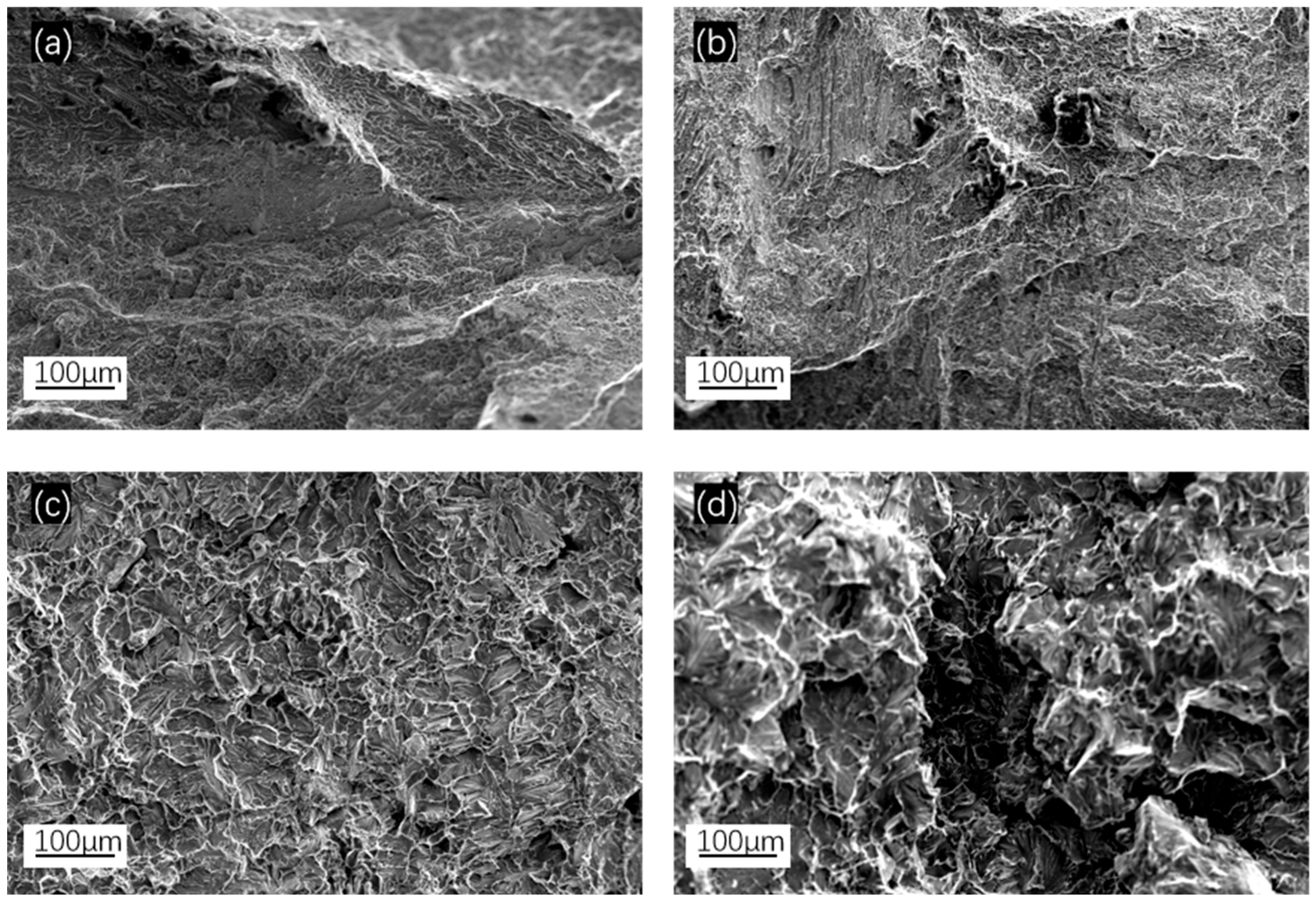 Metals 15 01146 g012