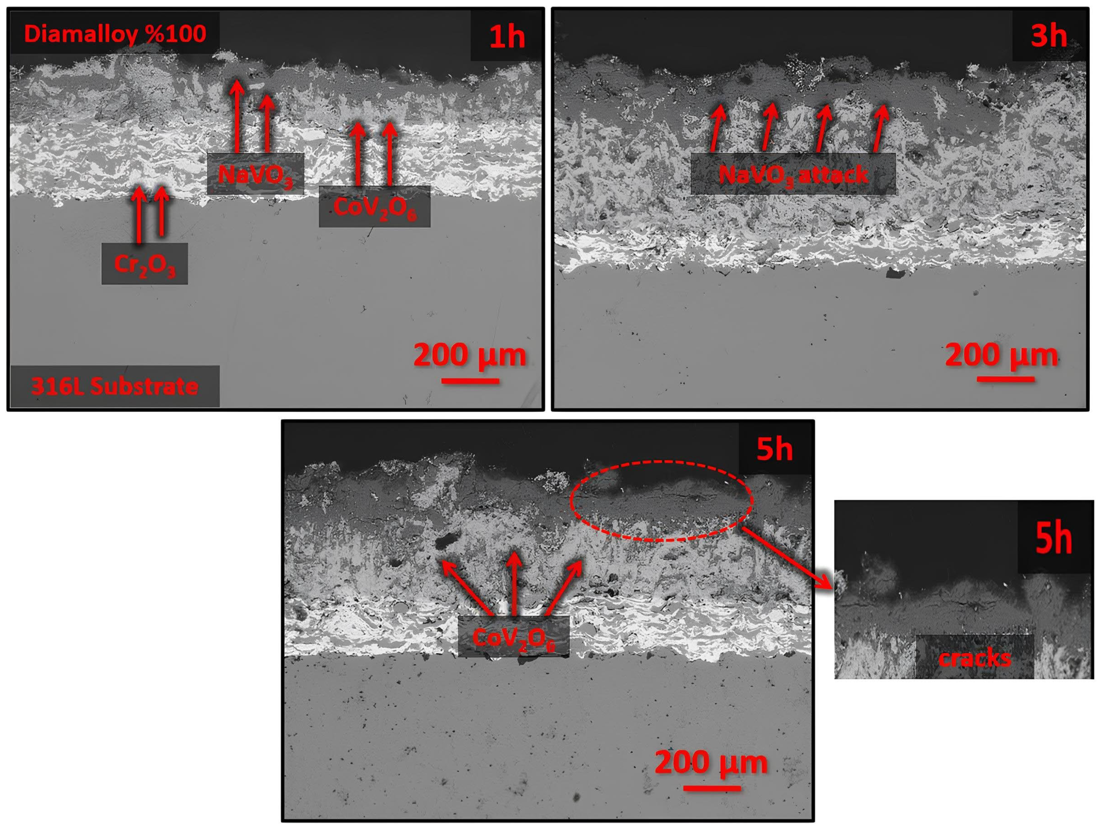 Metals 15 01169 g005 Metals 15 01169 g005