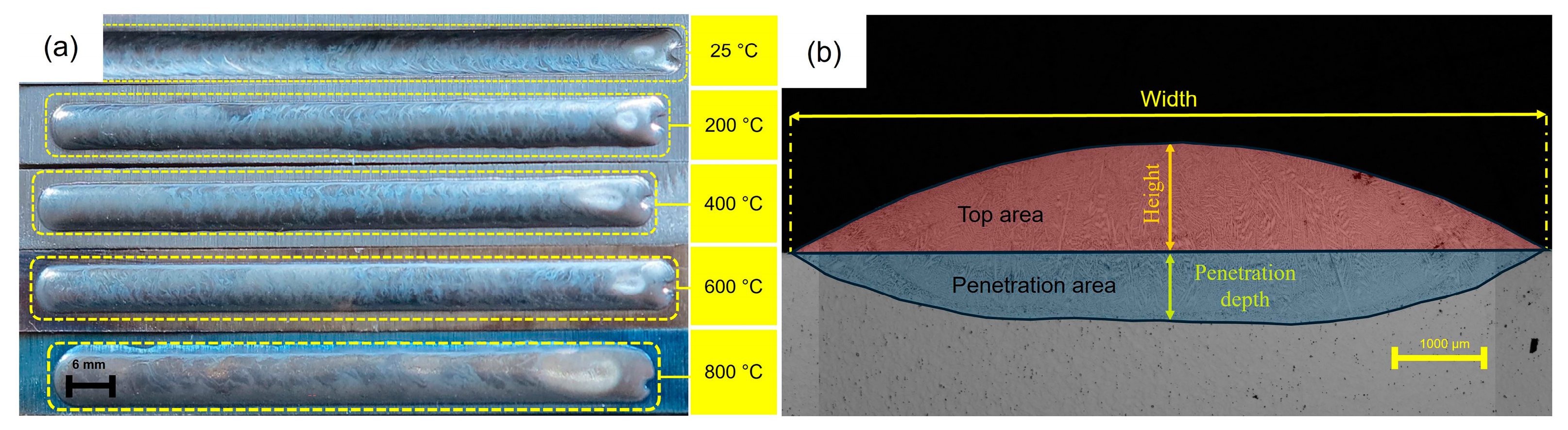 Metals 15 01184 g007