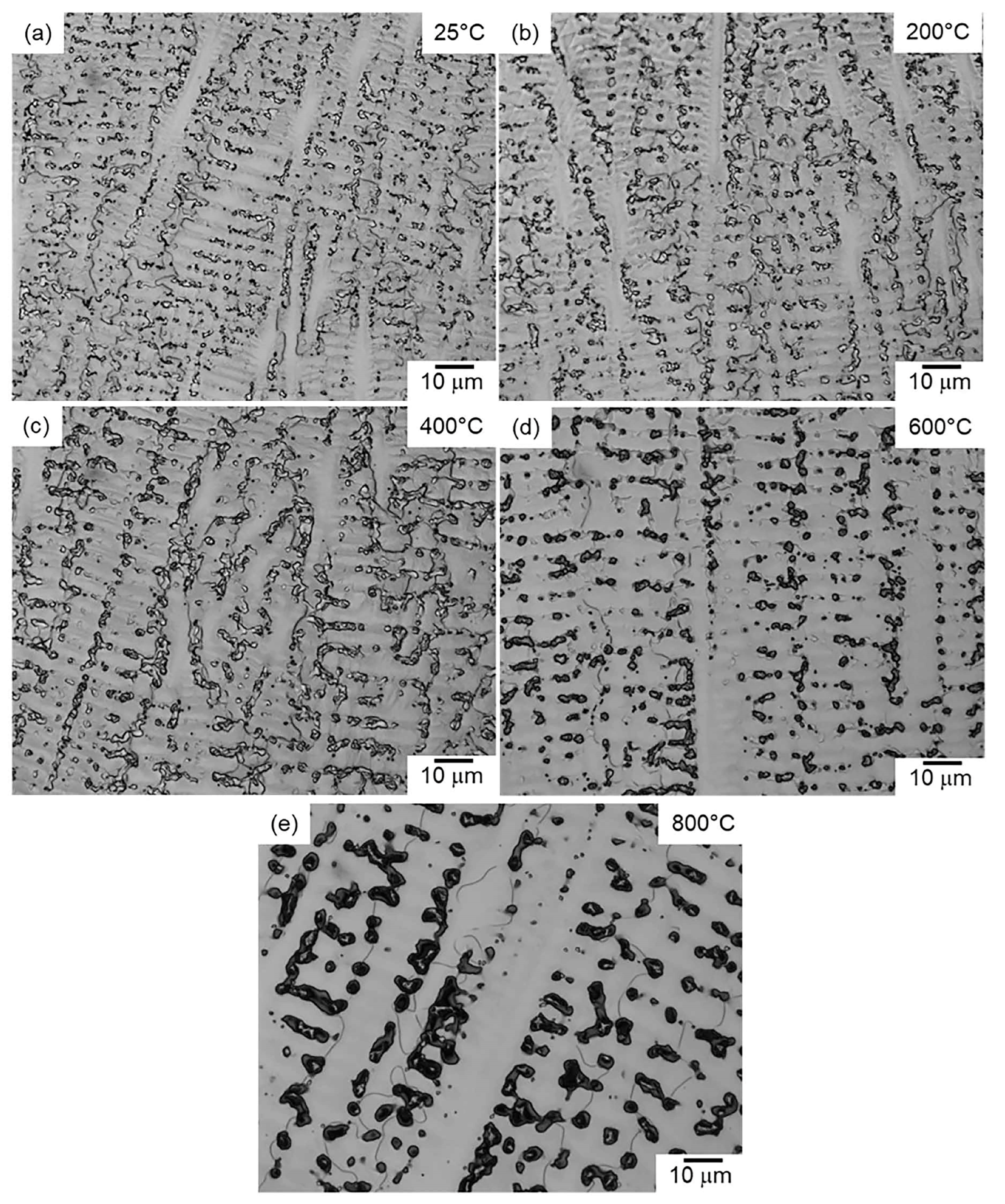 Metals 15 01184 g014