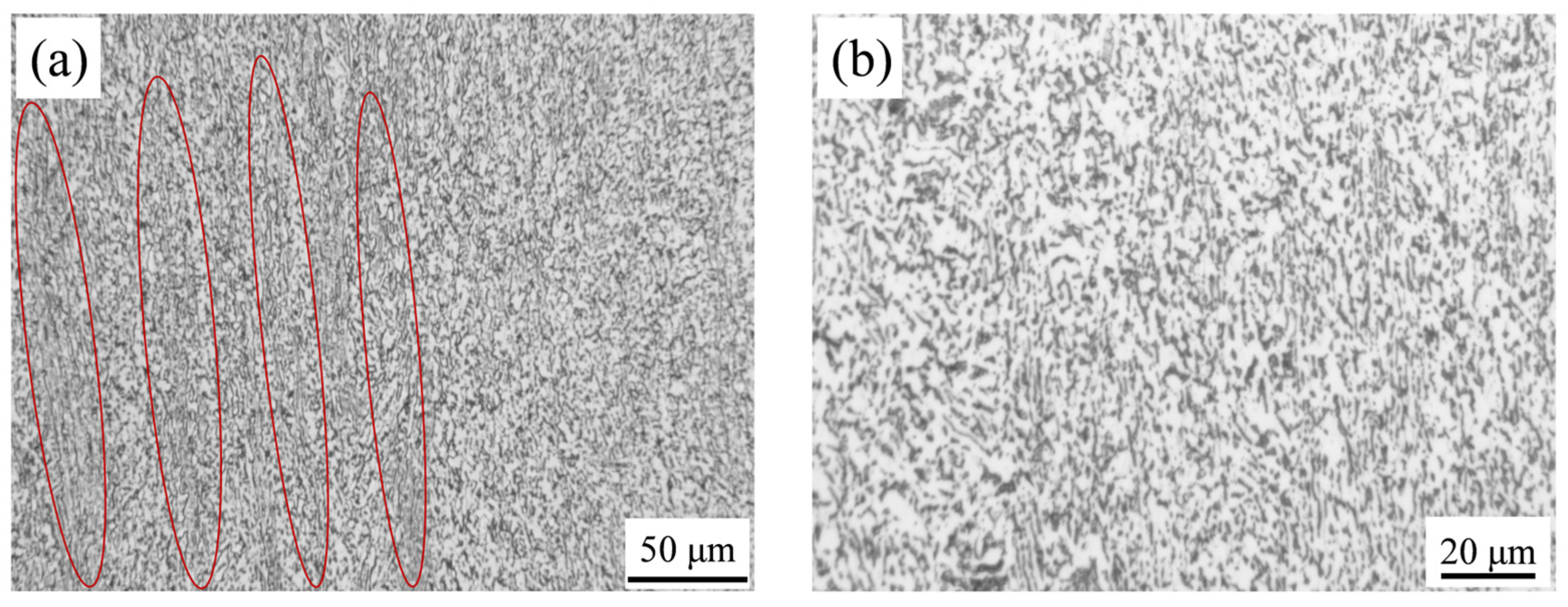 Metals 15 01185 g001