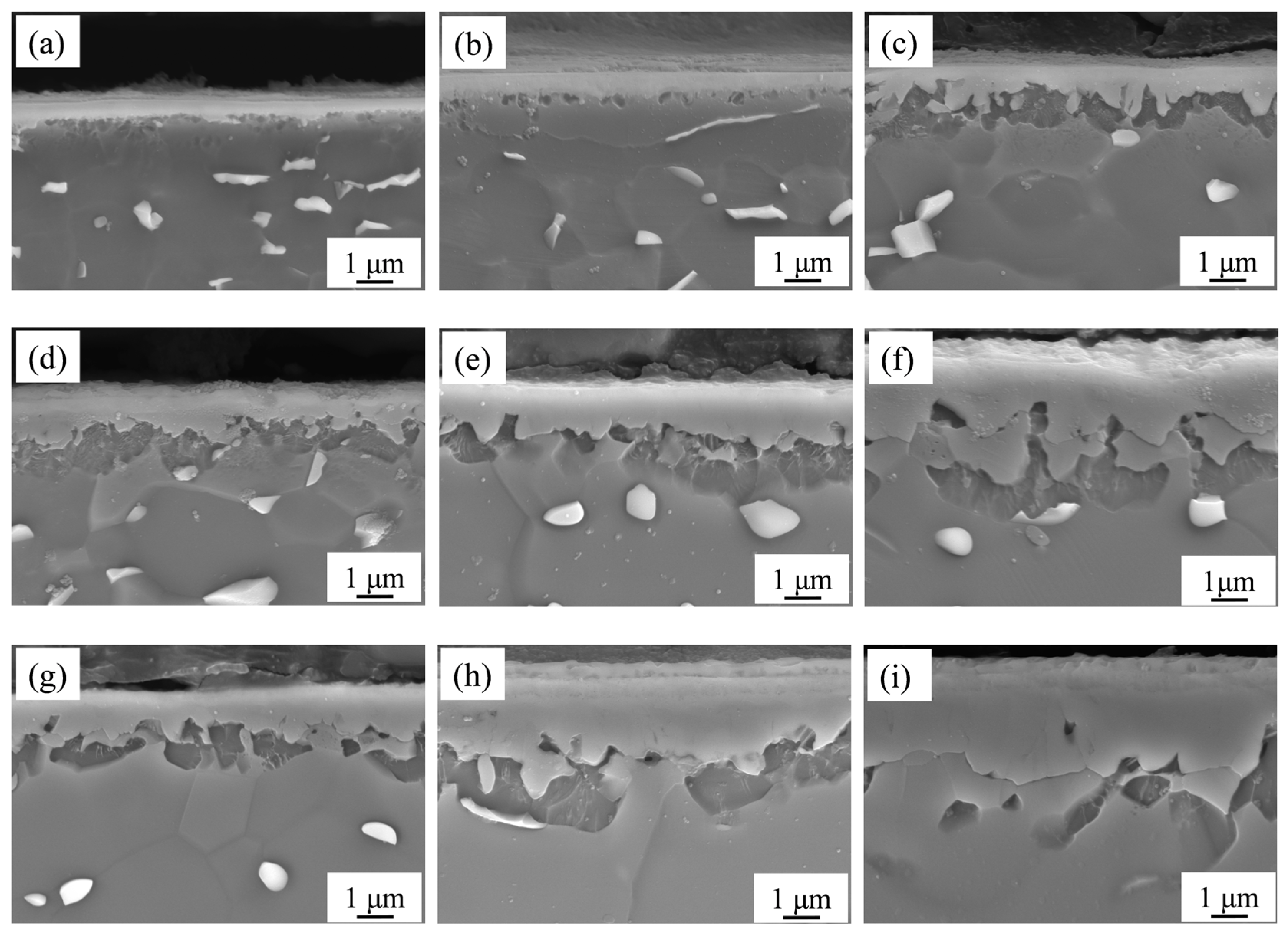 Metals 15 01185 g004