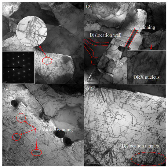 Effects of Hot Compression on Grain Boundary Evolution and Twin