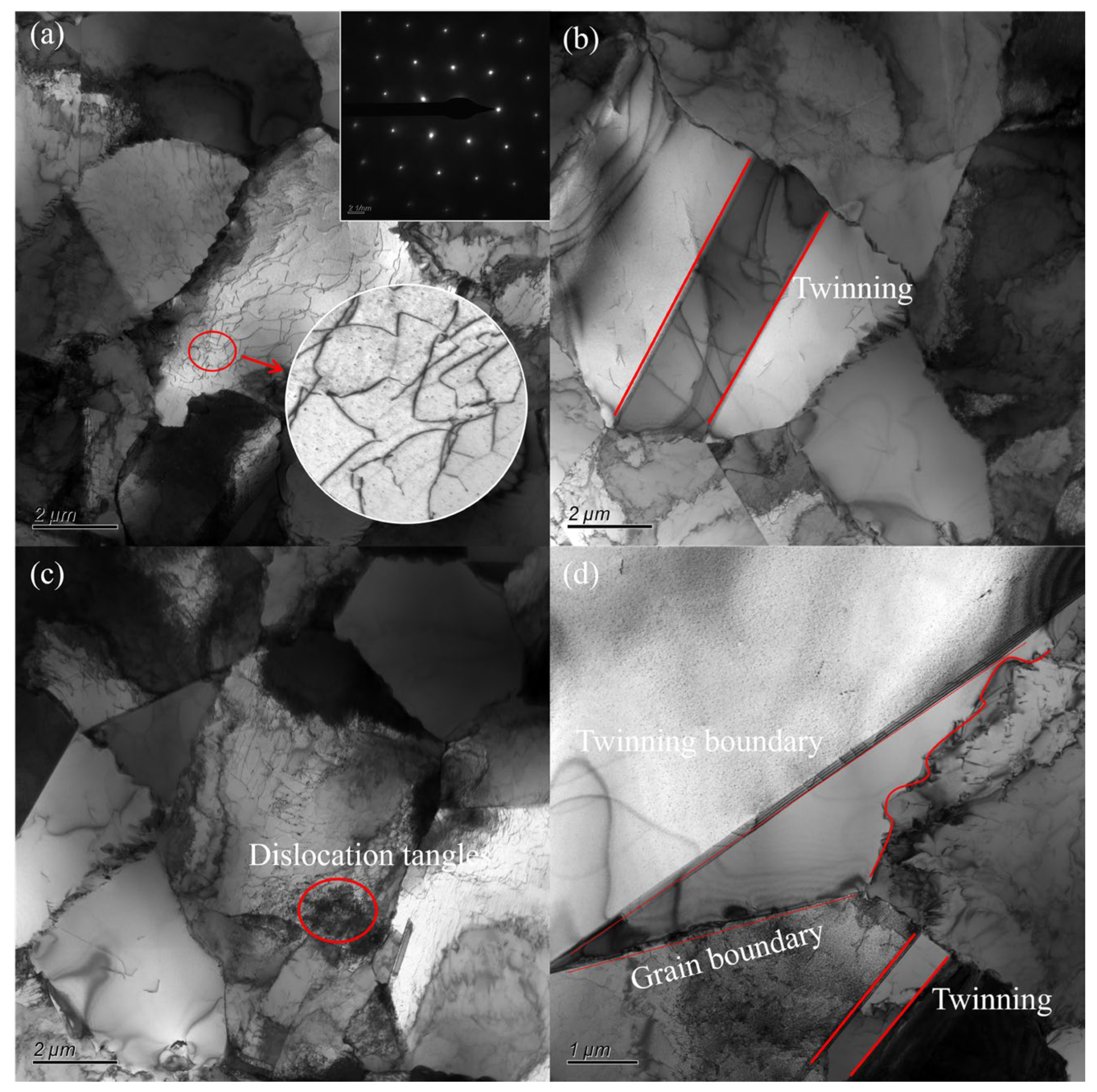 Metals 15 01186 g014 Metals 15 01186 g014