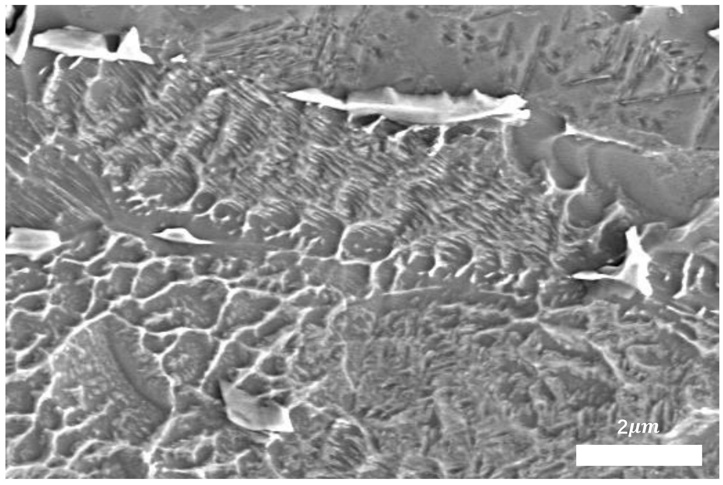 Metals 15 01204 g001 Metals 15 01204 g001