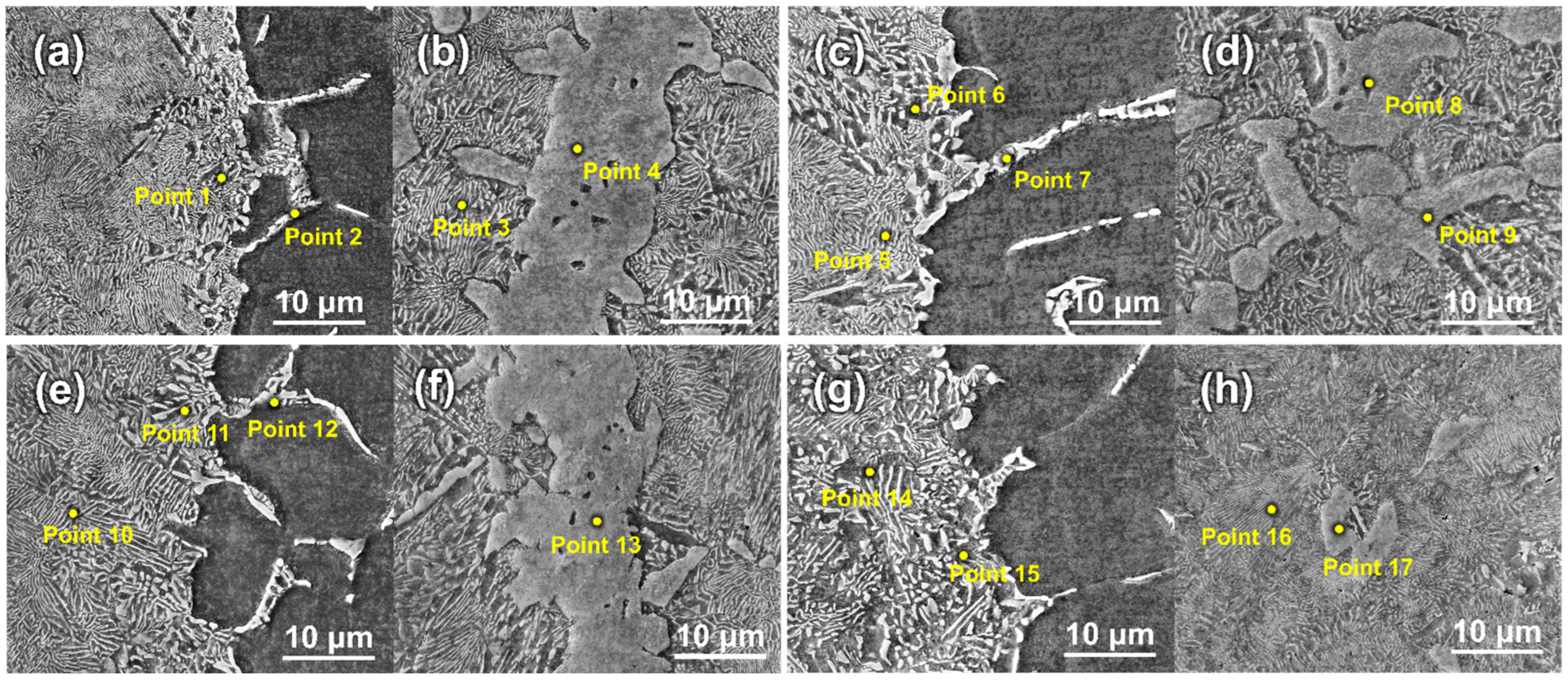 Metals 15 01218 g004