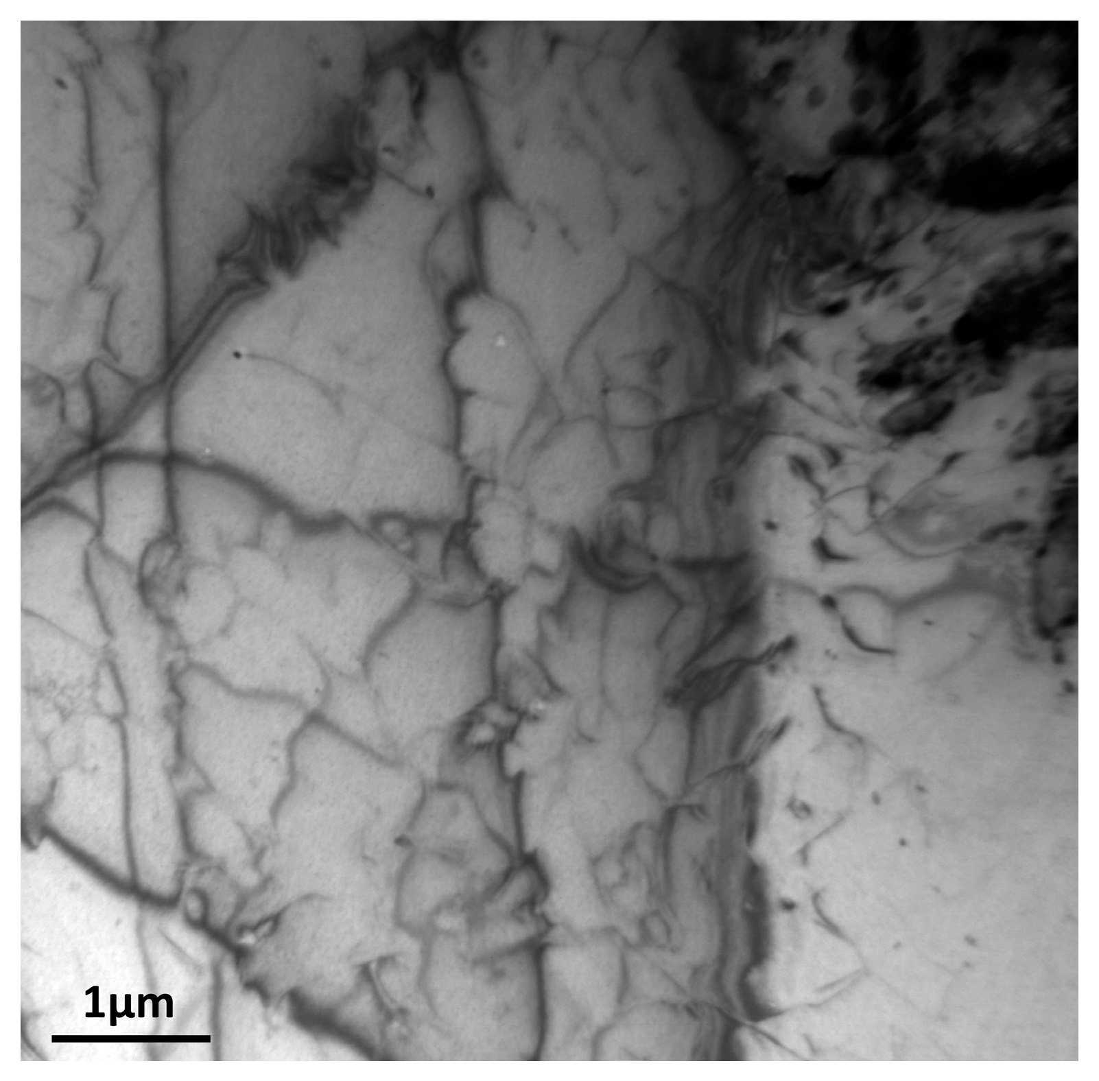 Metals 15 01229 g013 Metals 15 01229 g013