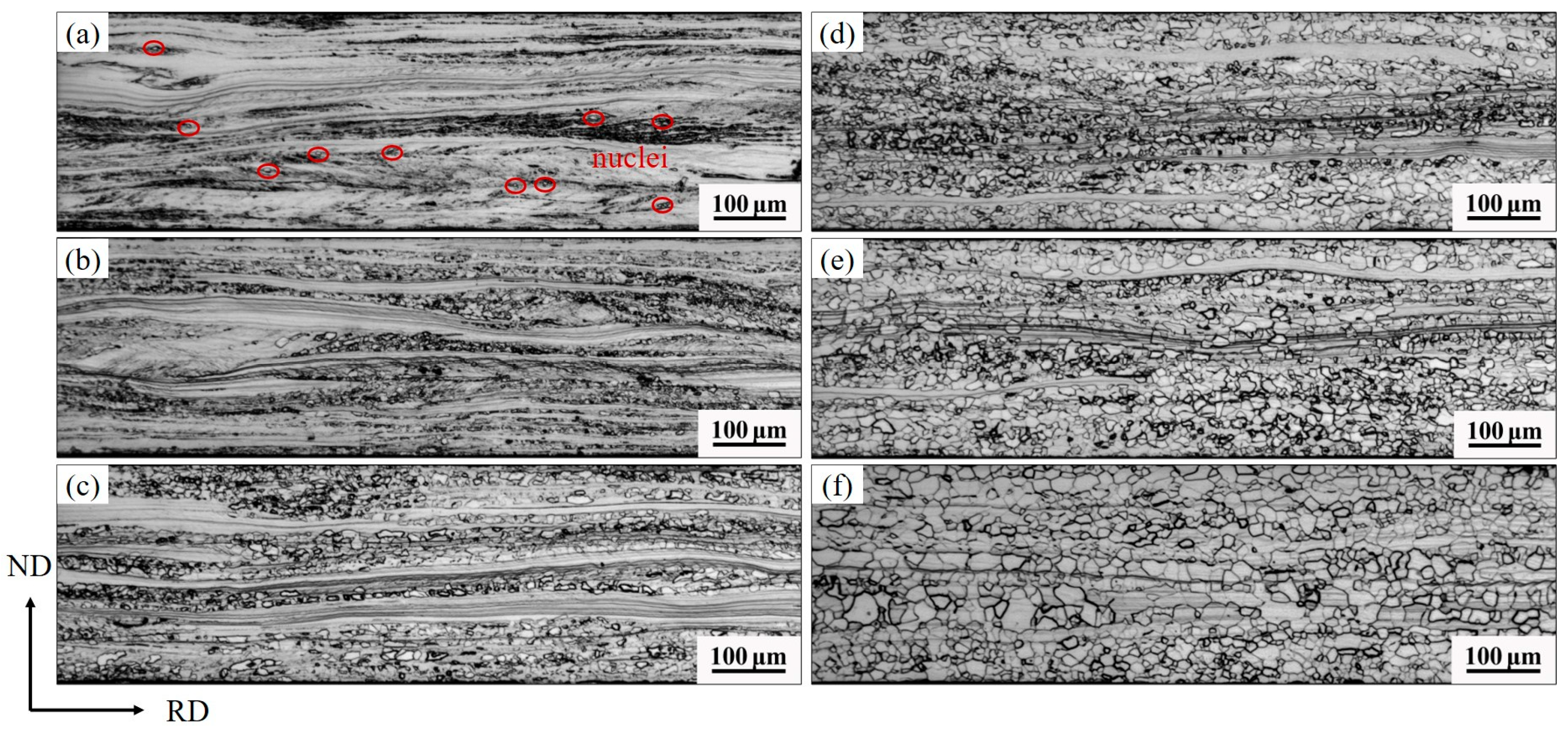 Metals 15 01235 g005