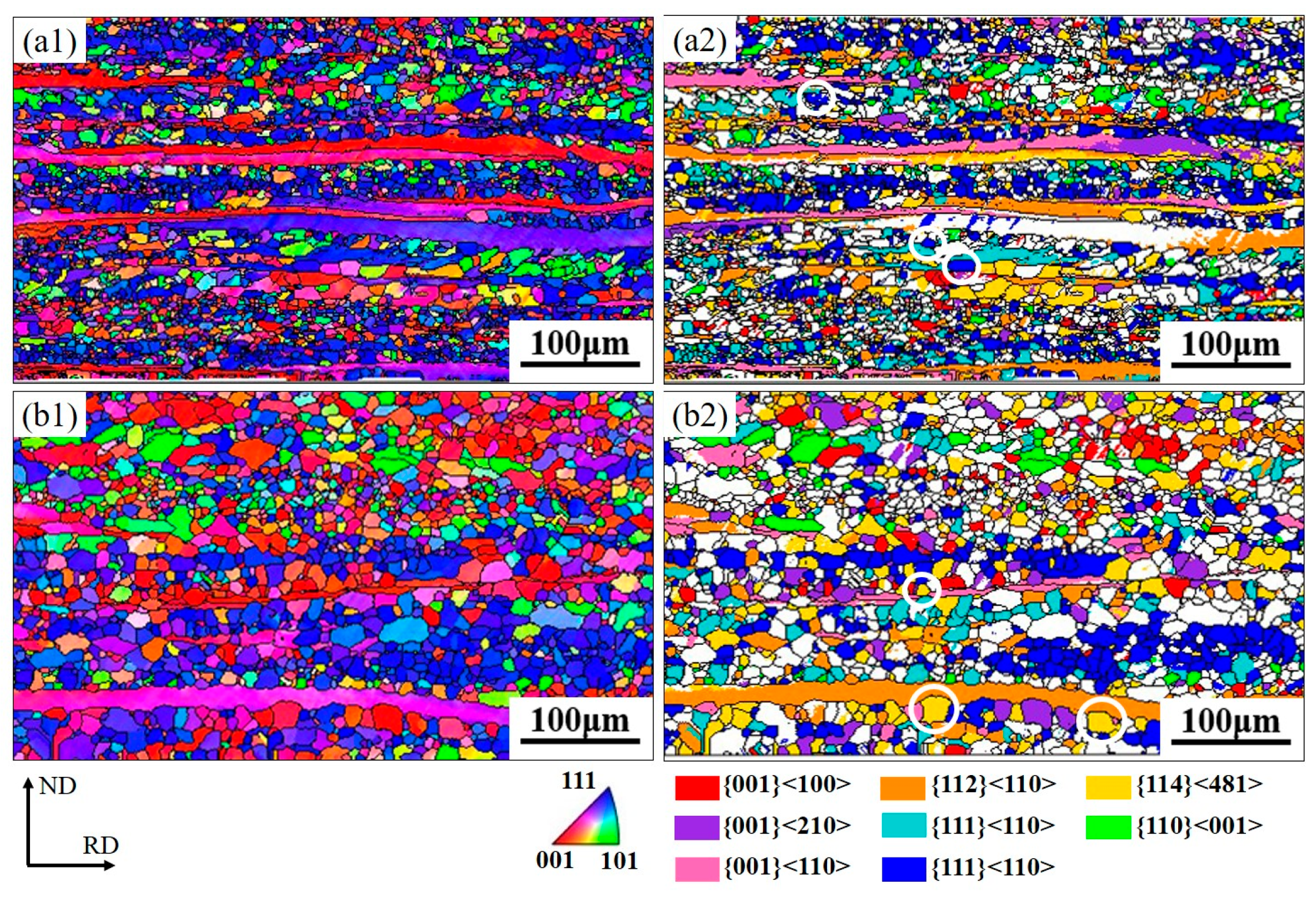 Metals 15 01235 g008