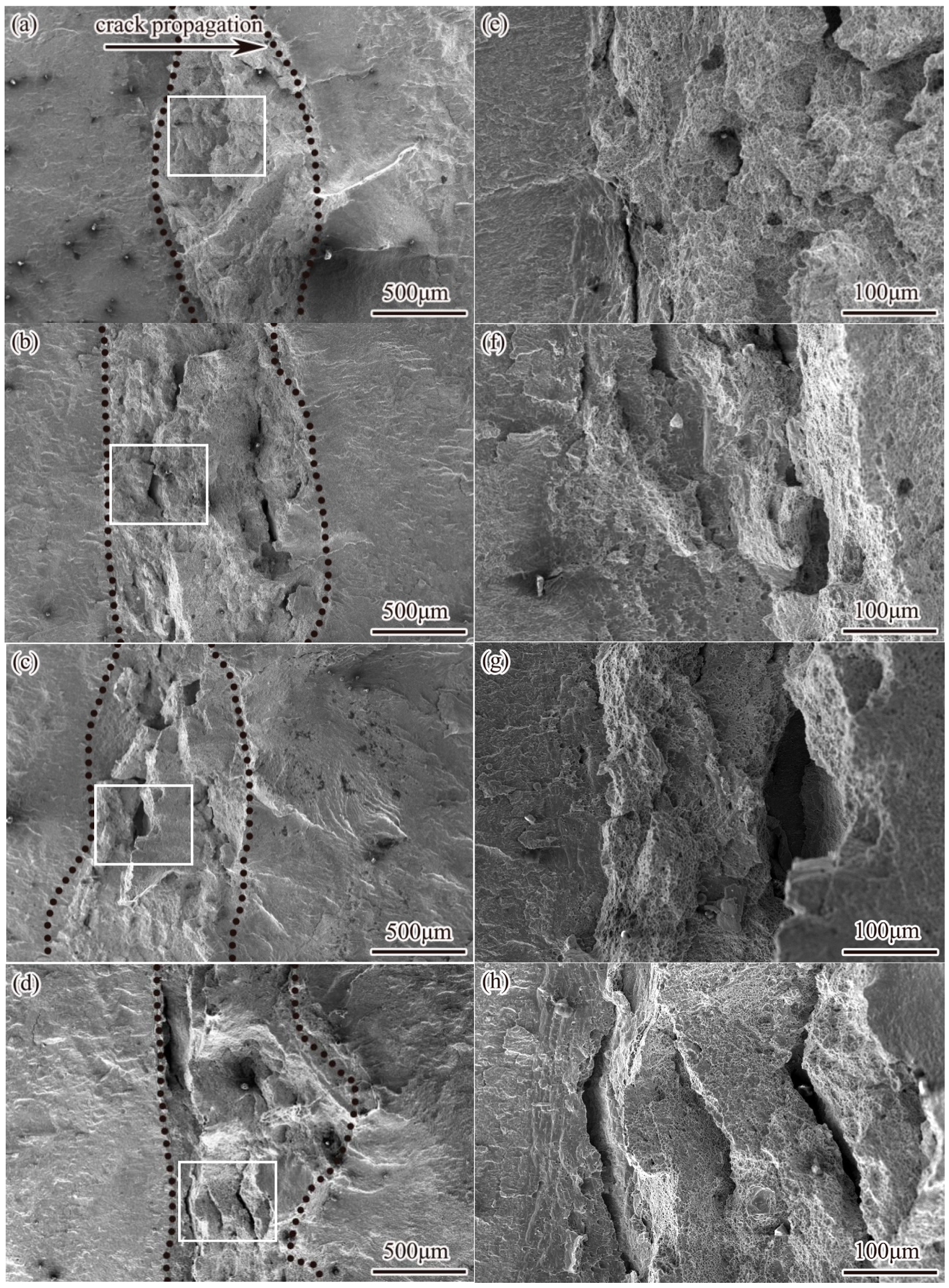 Metals 15 01236 g010