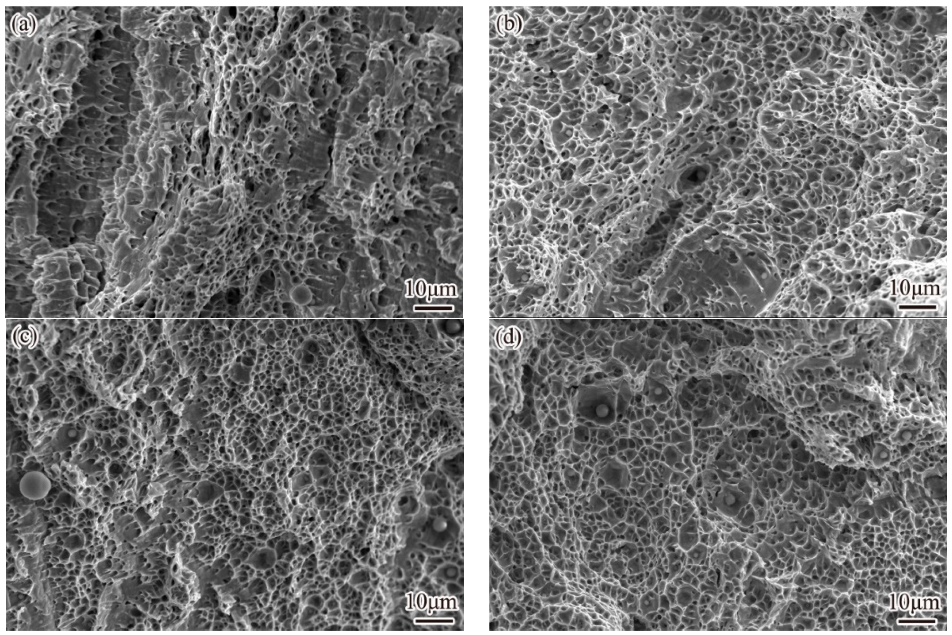 Metals 15 01236 g011