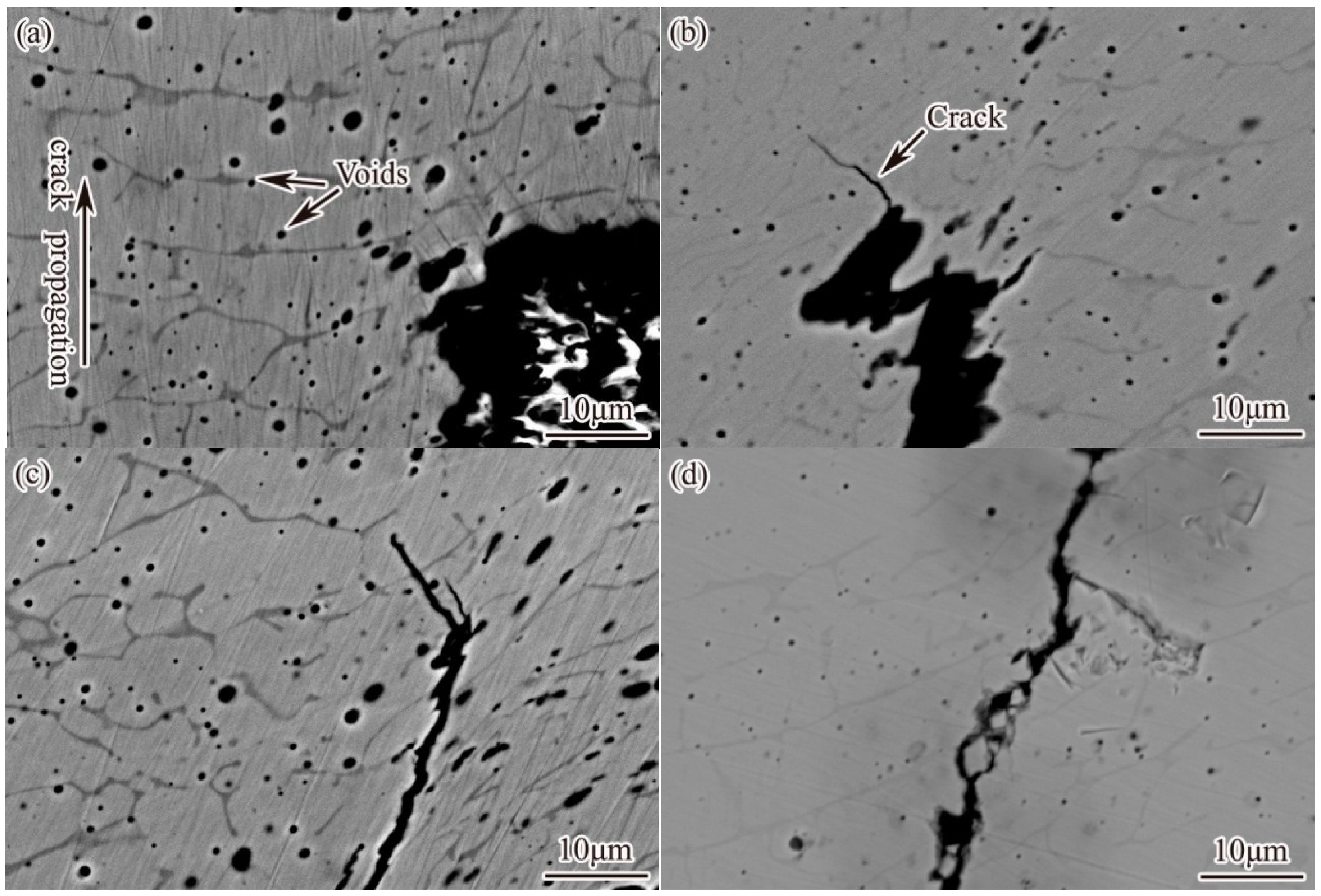 Metals 15 01236 g013