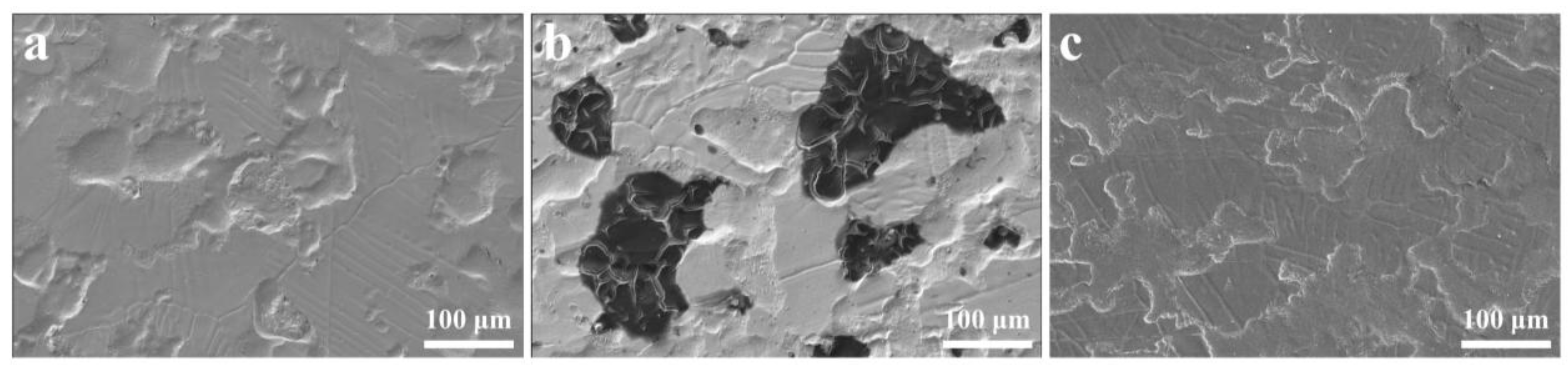 Metals 15 01245 g001