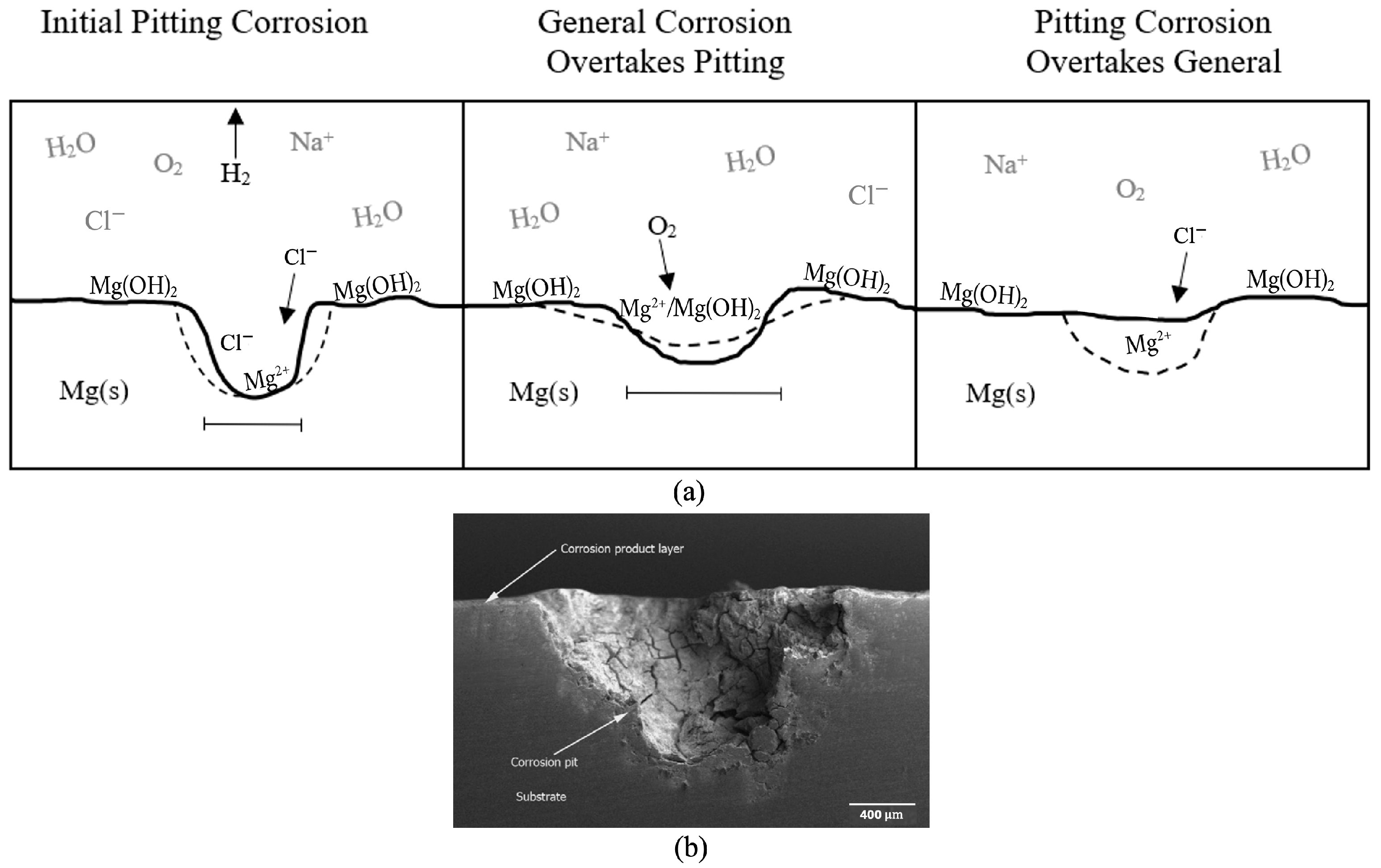 Metals 15 01246 g003