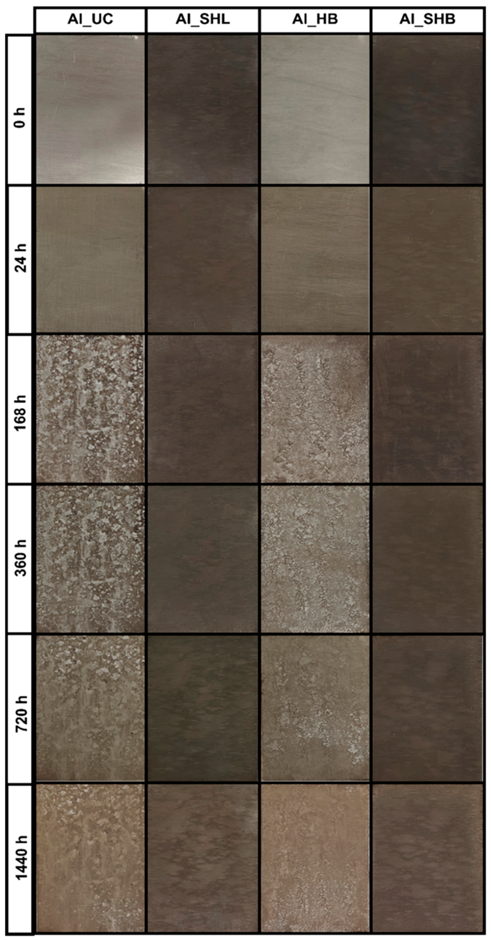 Metals 15 01248 g013