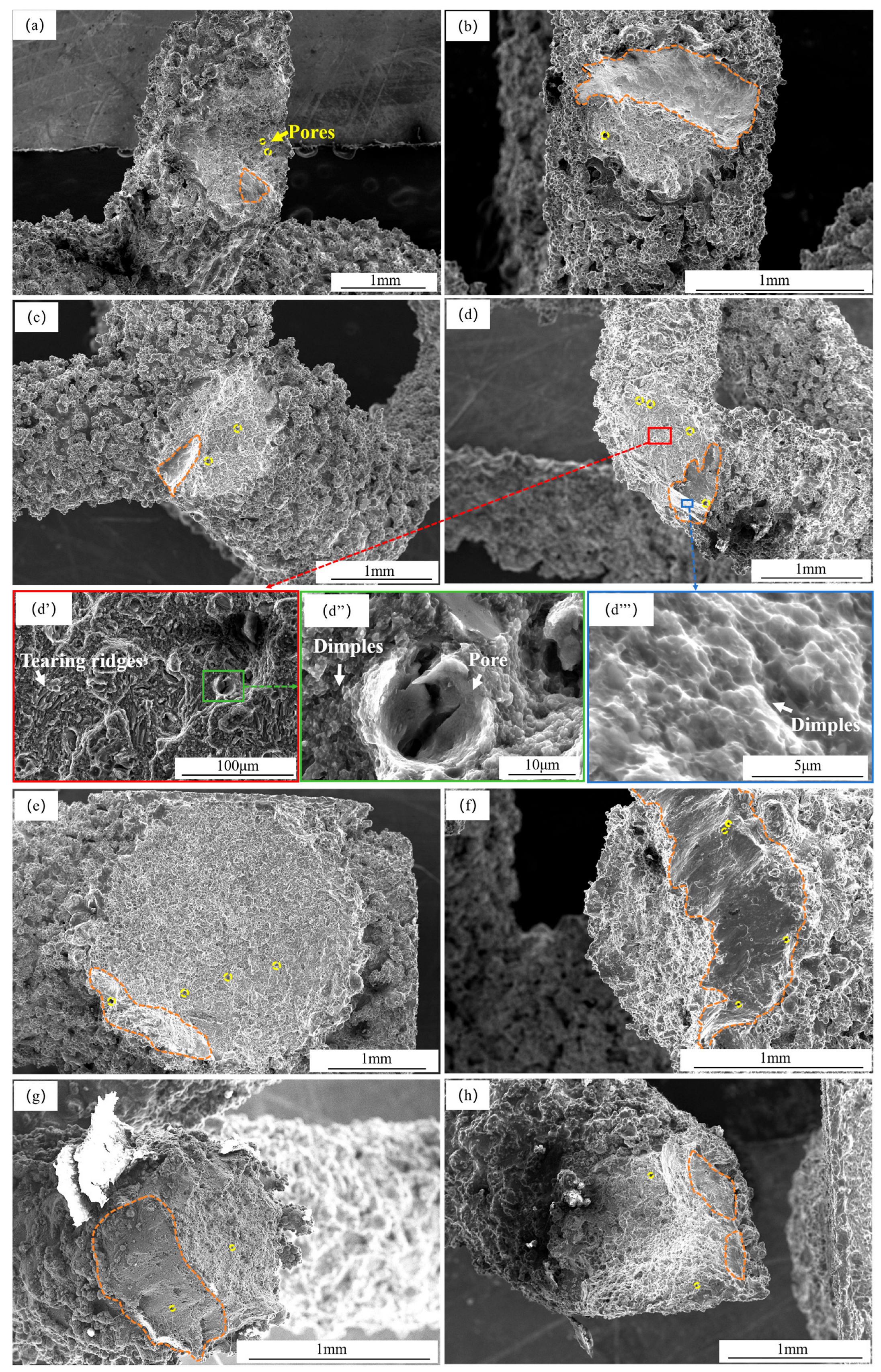 Metals 15 01255 g012