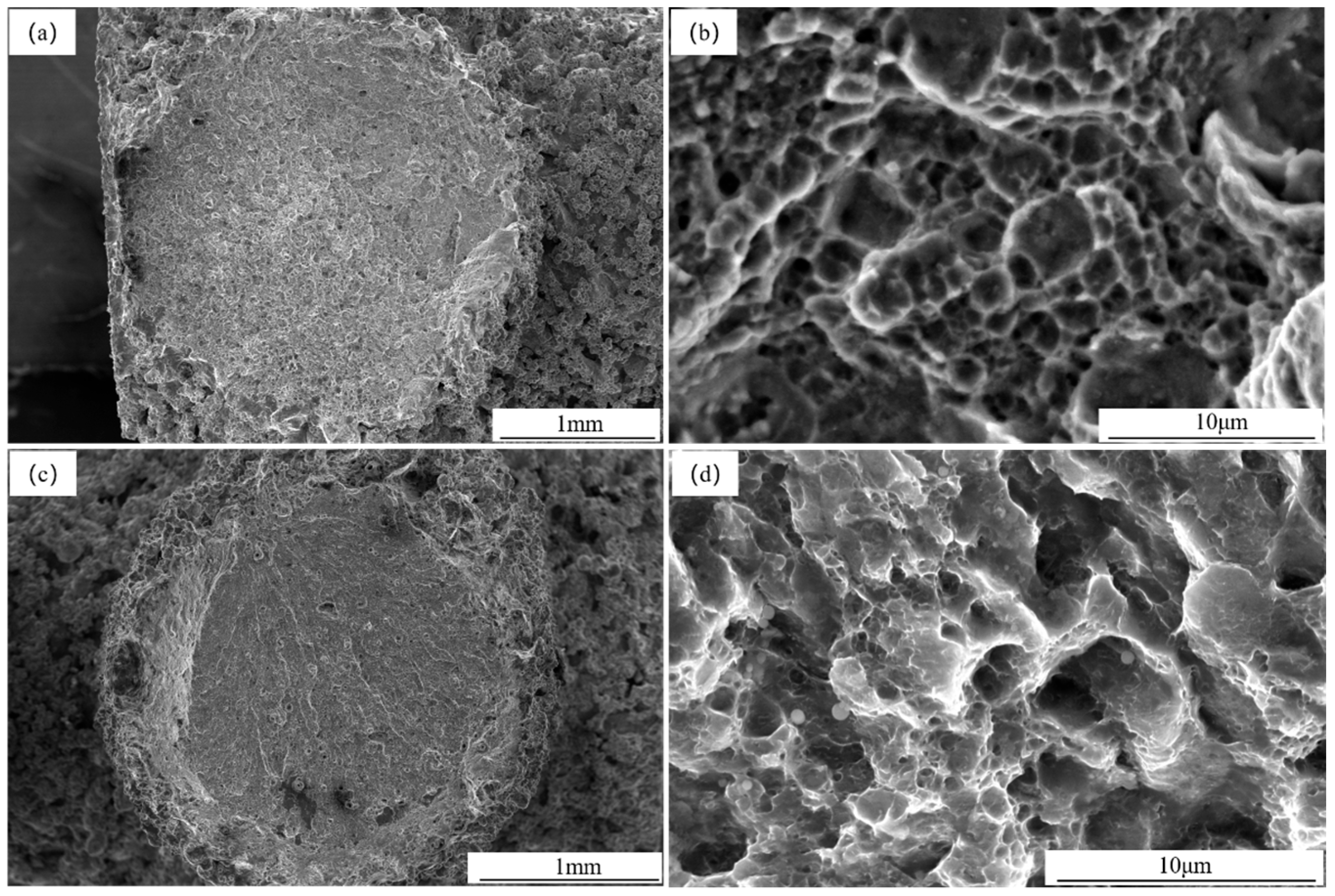 Metals 15 01255 g015