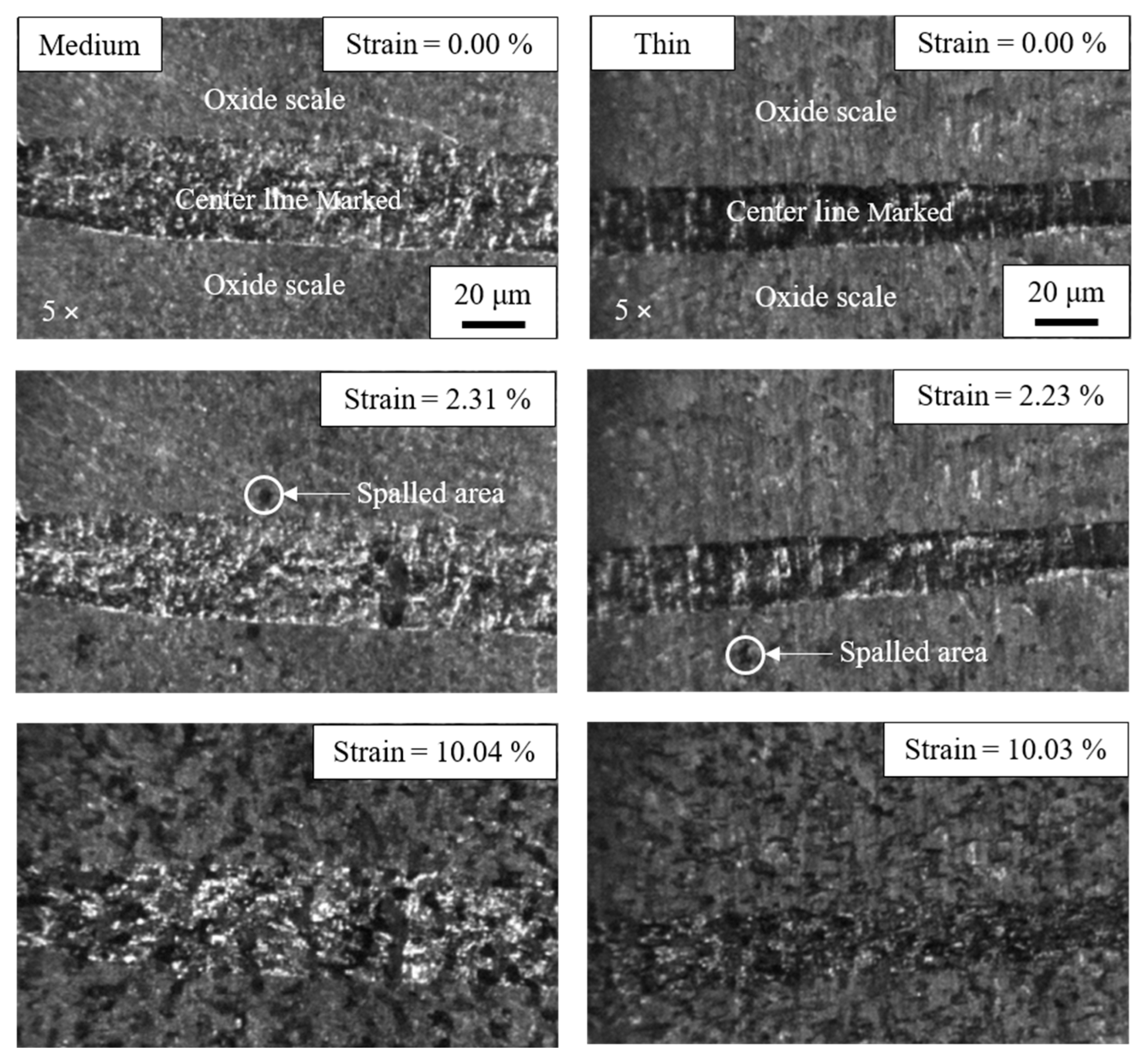 Metals 15 01277 g007