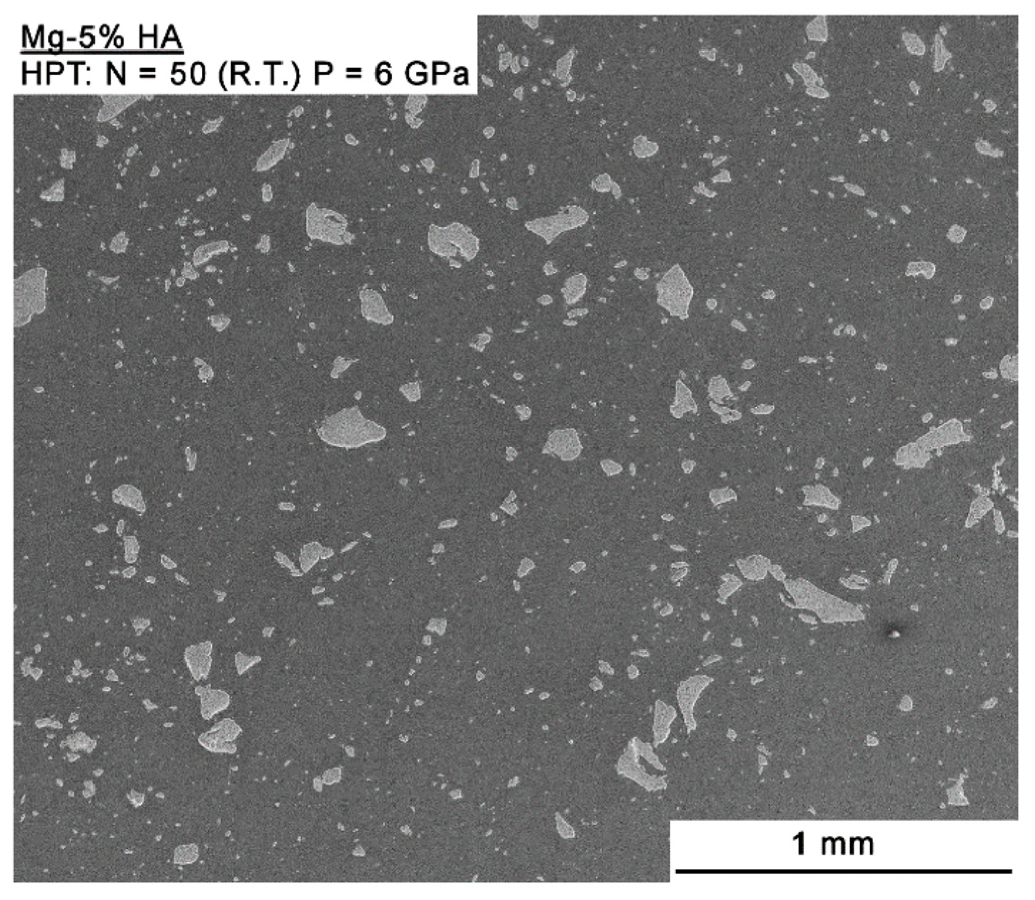 Metals 15 01281 g006