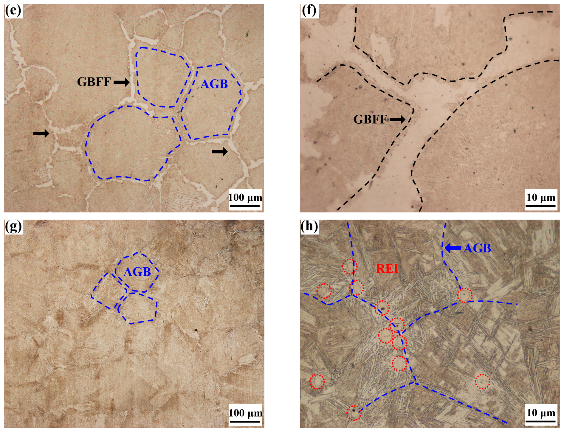 Metals 15 01284 g009b