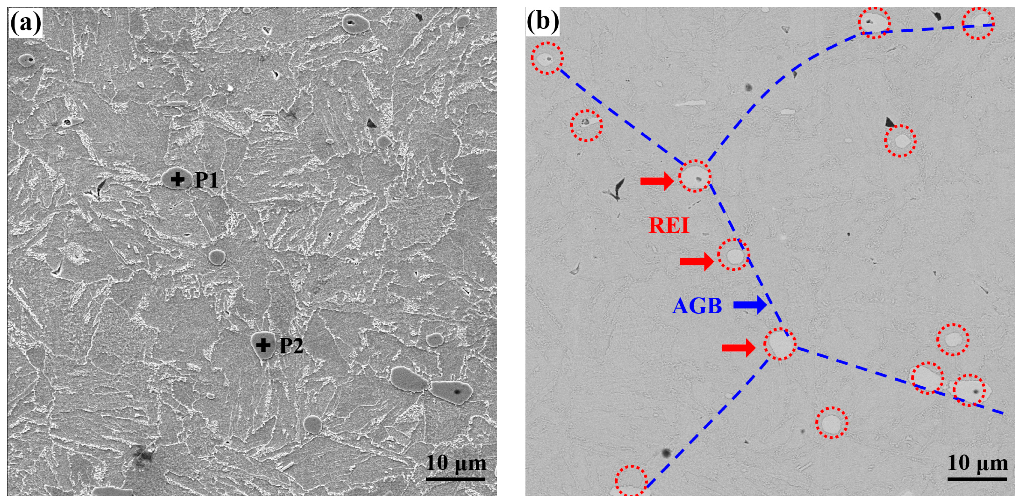 Metals 15 01284 g011a