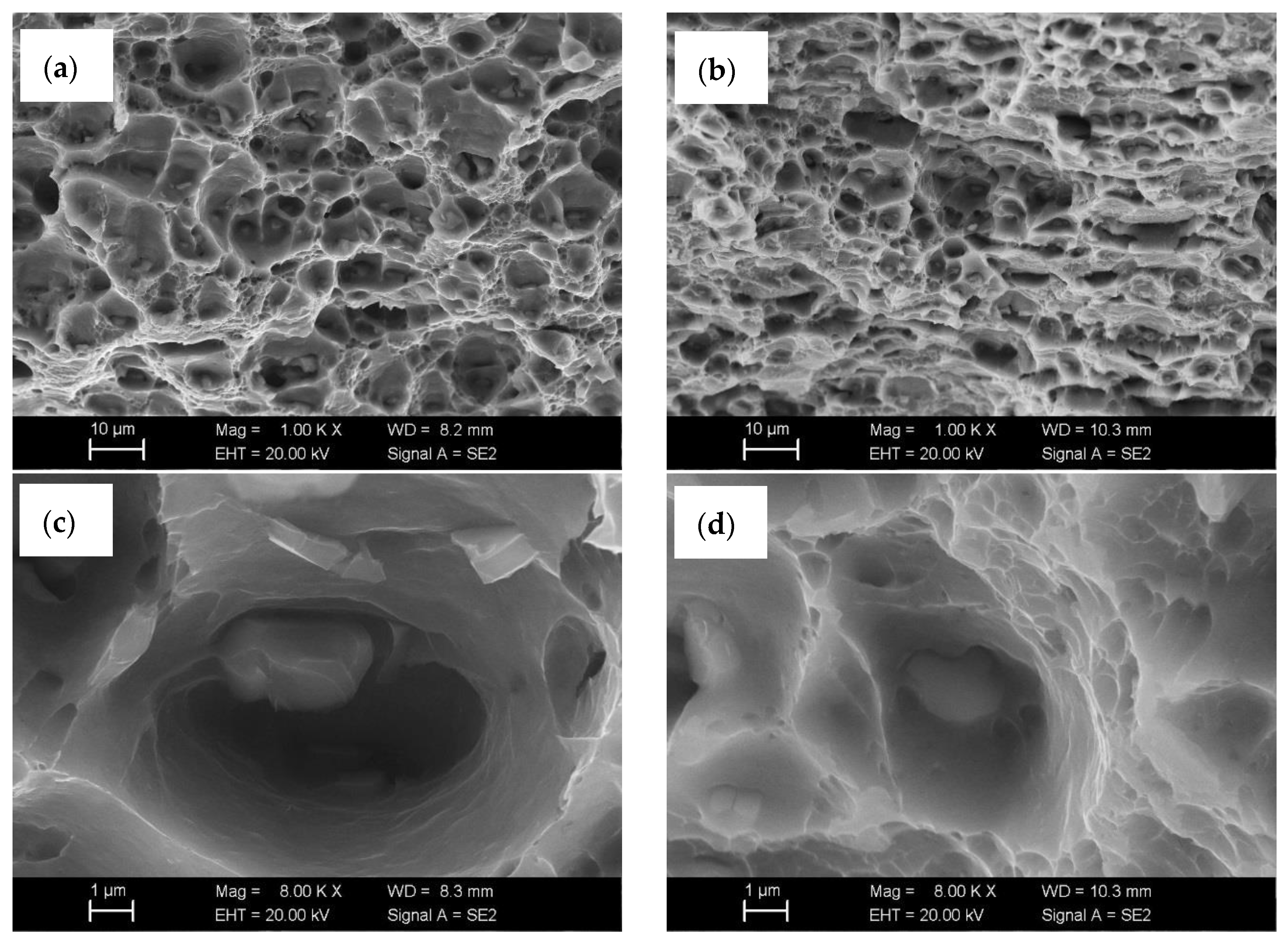 Metals 15 01287 g005