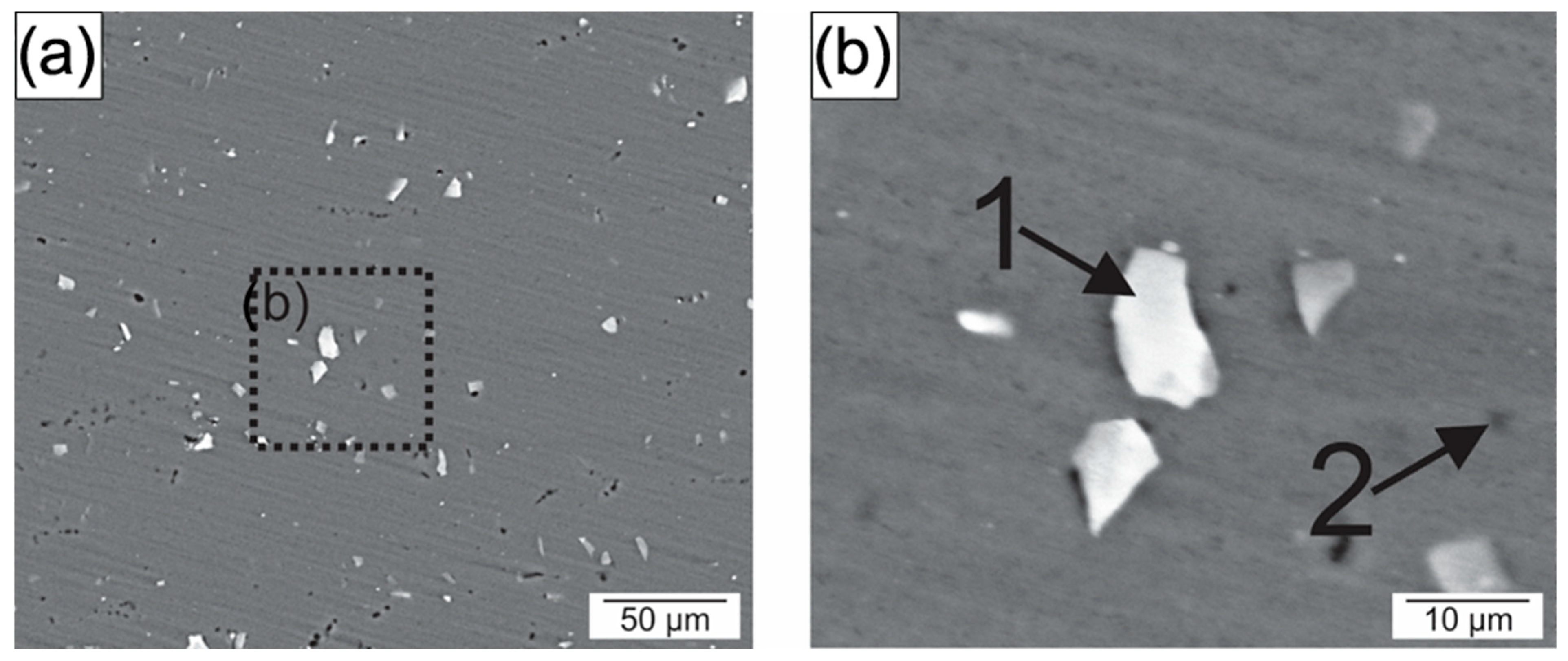 Metals 15 01288 g010