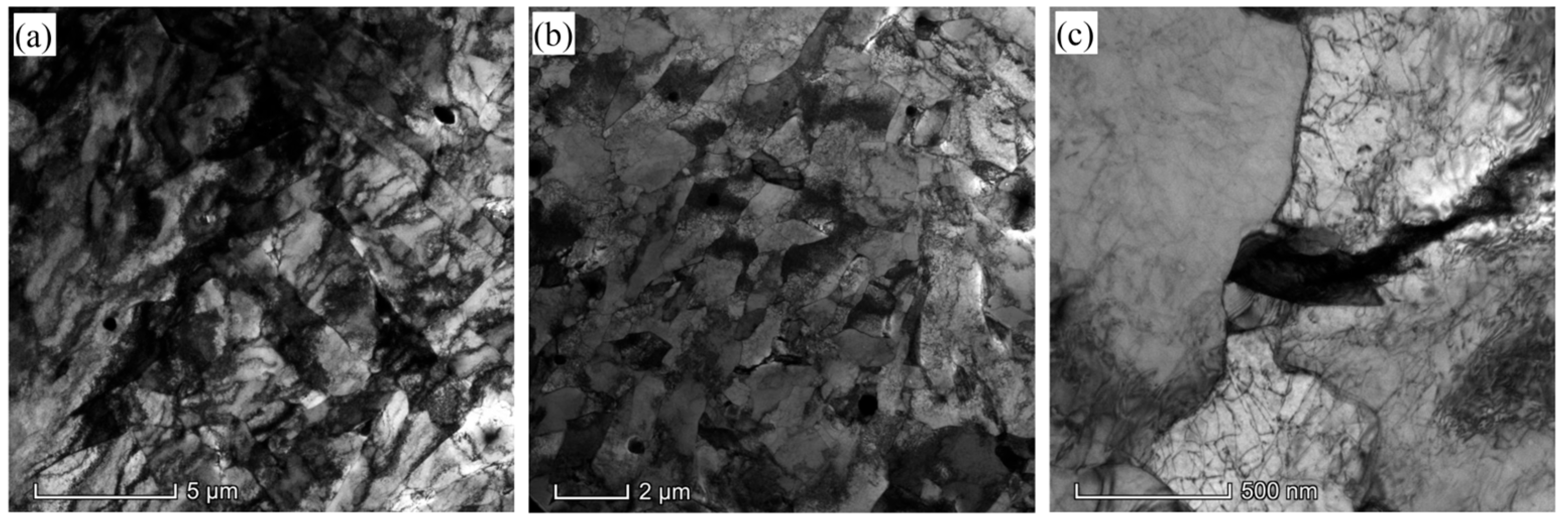 Metals 15 01289 g005