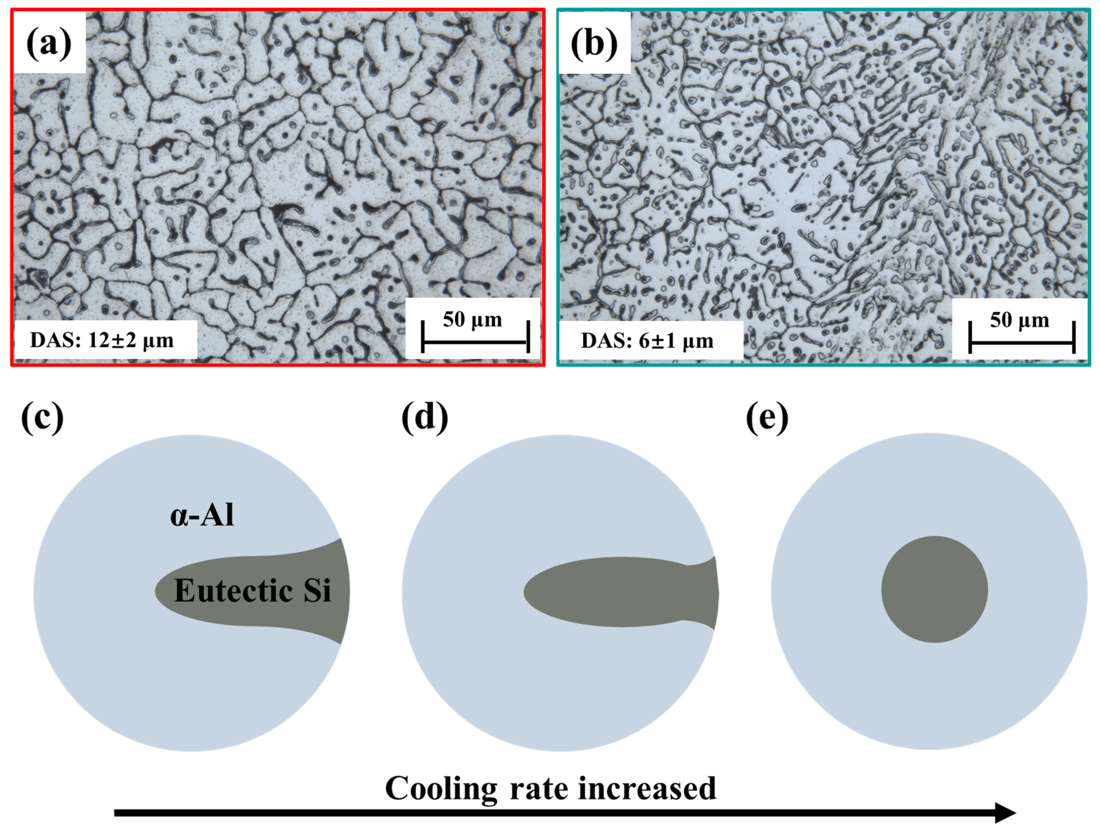 Metals 15 01290 g015