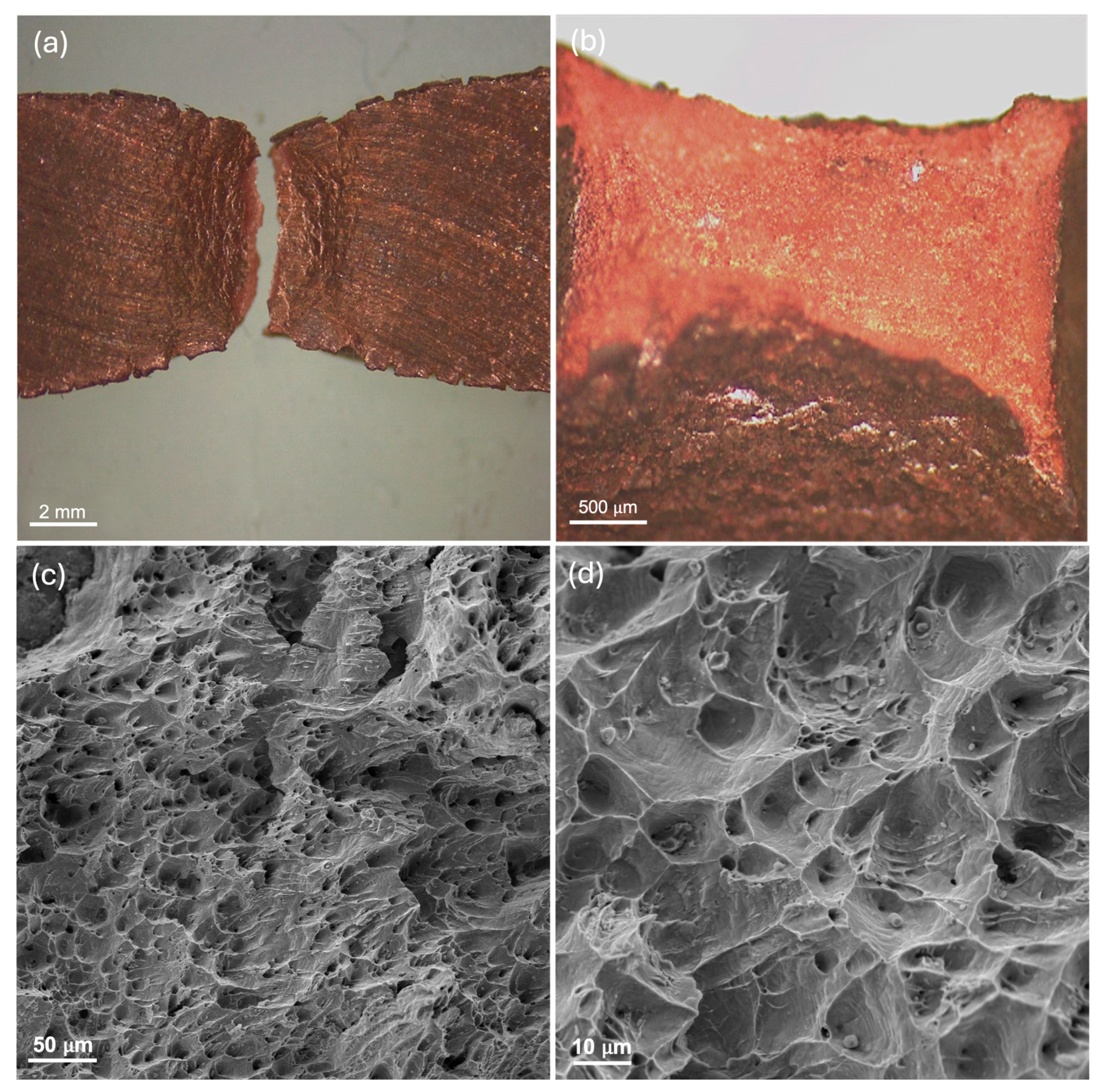 Metals 15 01292 g014