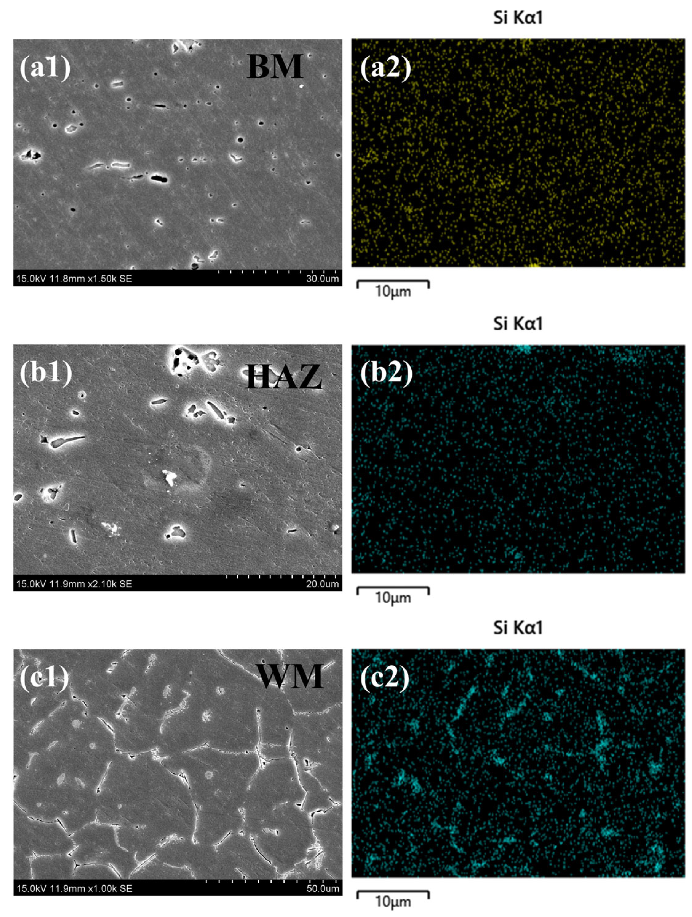 Metals 15 01294 g016