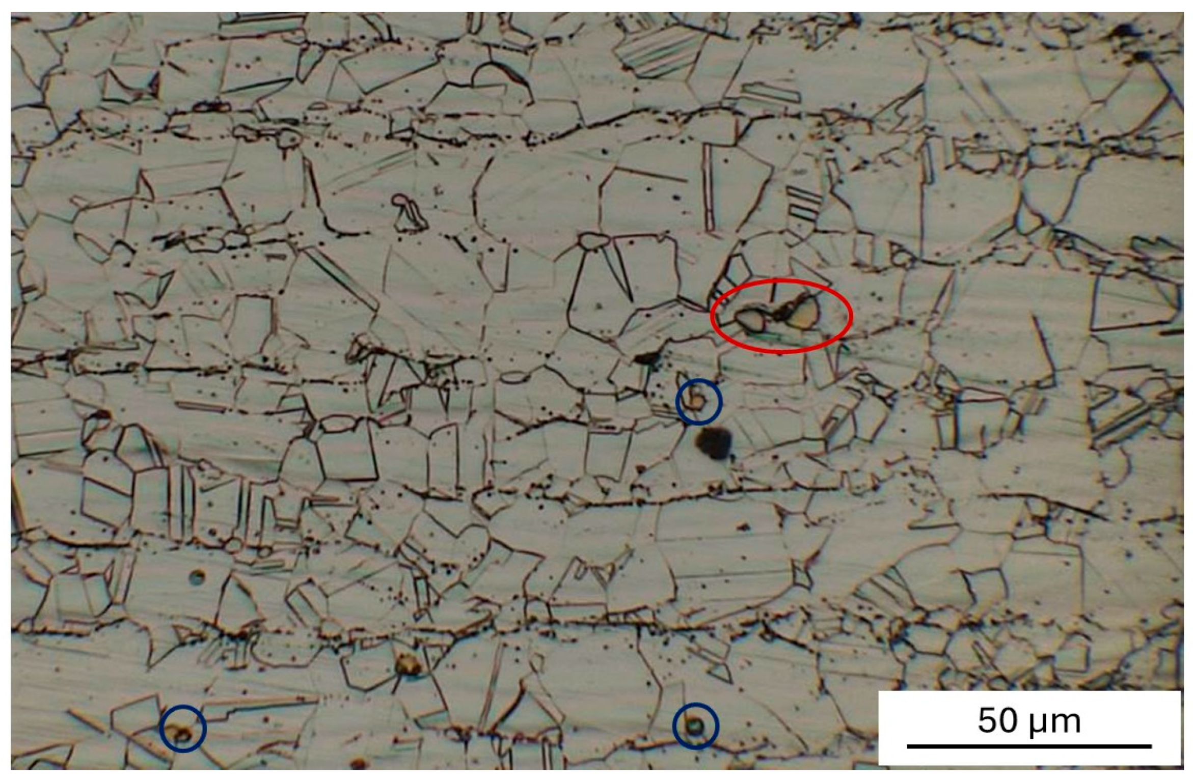 Metals 15 01296 g001