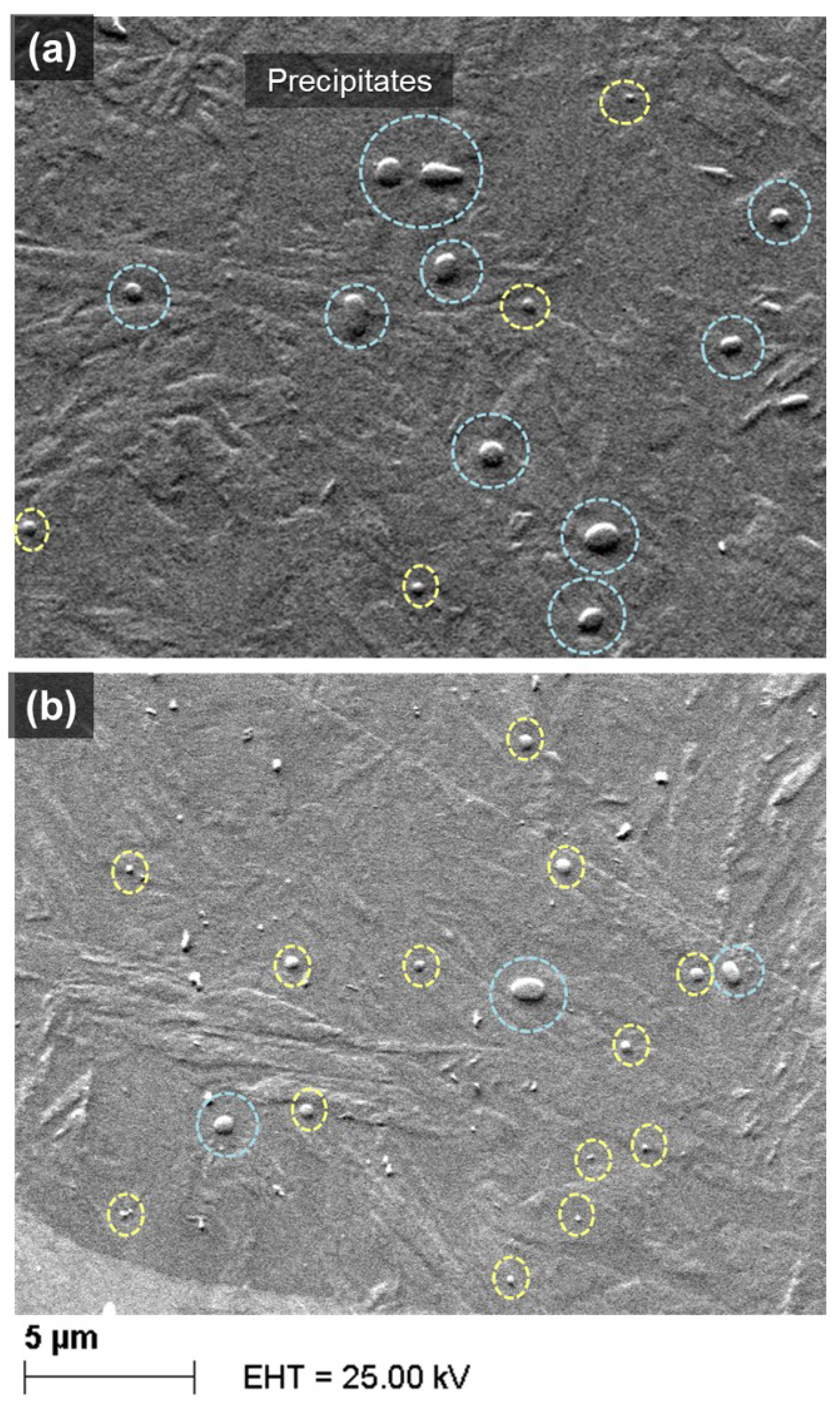 Metals 15 01303 g015