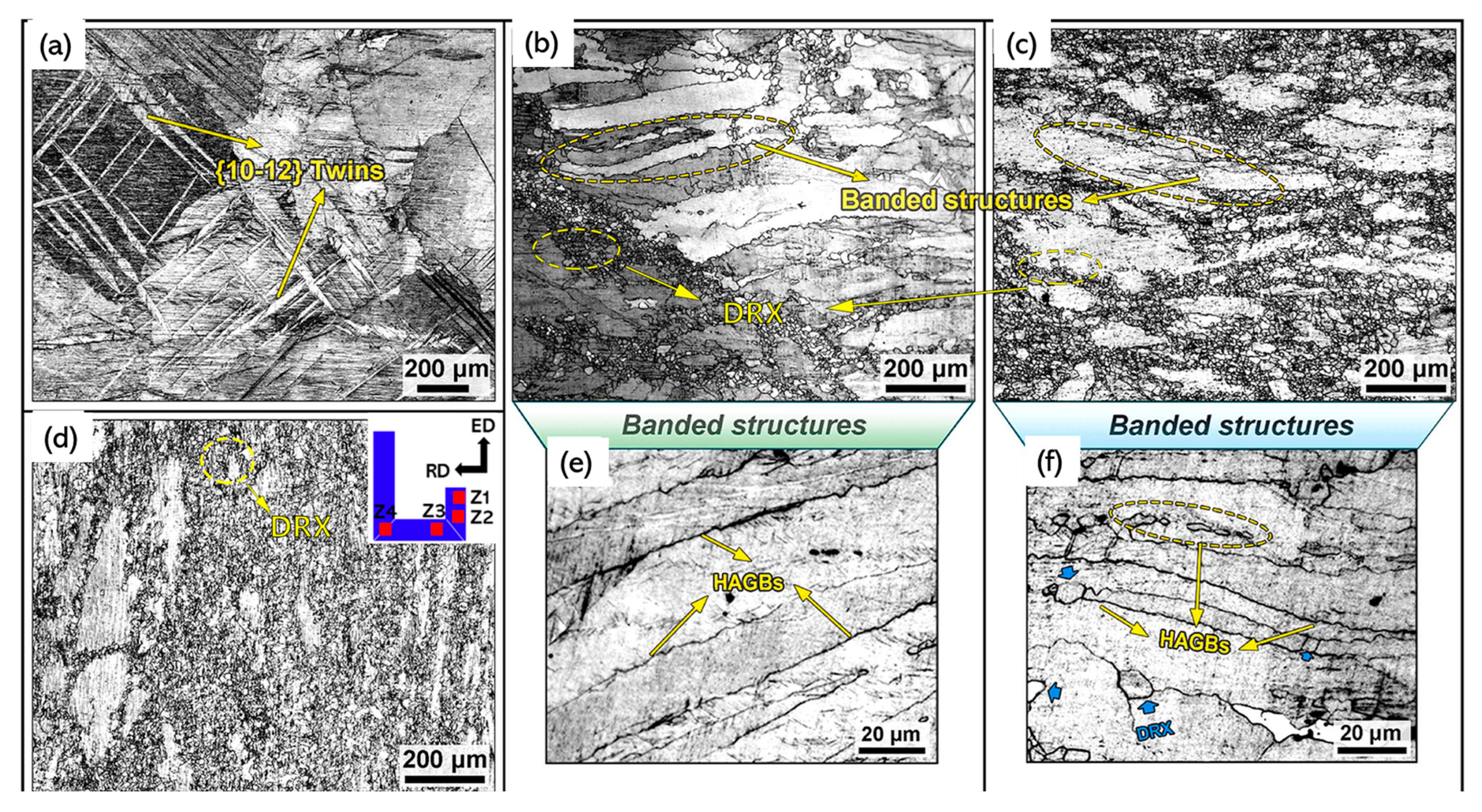 Metals 15 01304 g008
