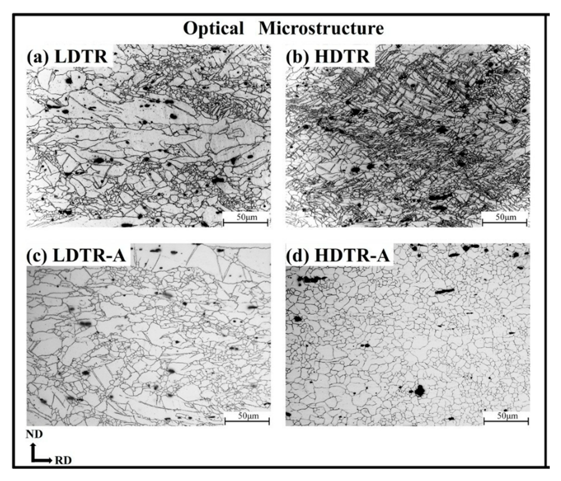 Metals 15 01304 g016