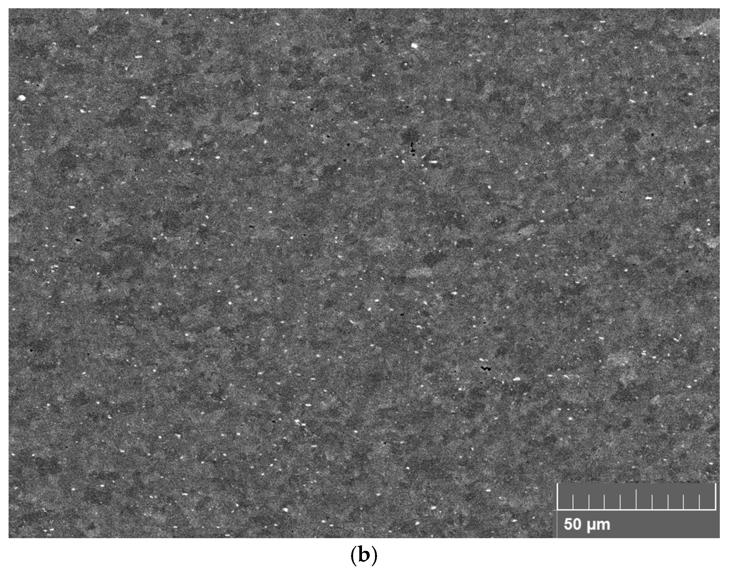 Metals 15 01309 g005b