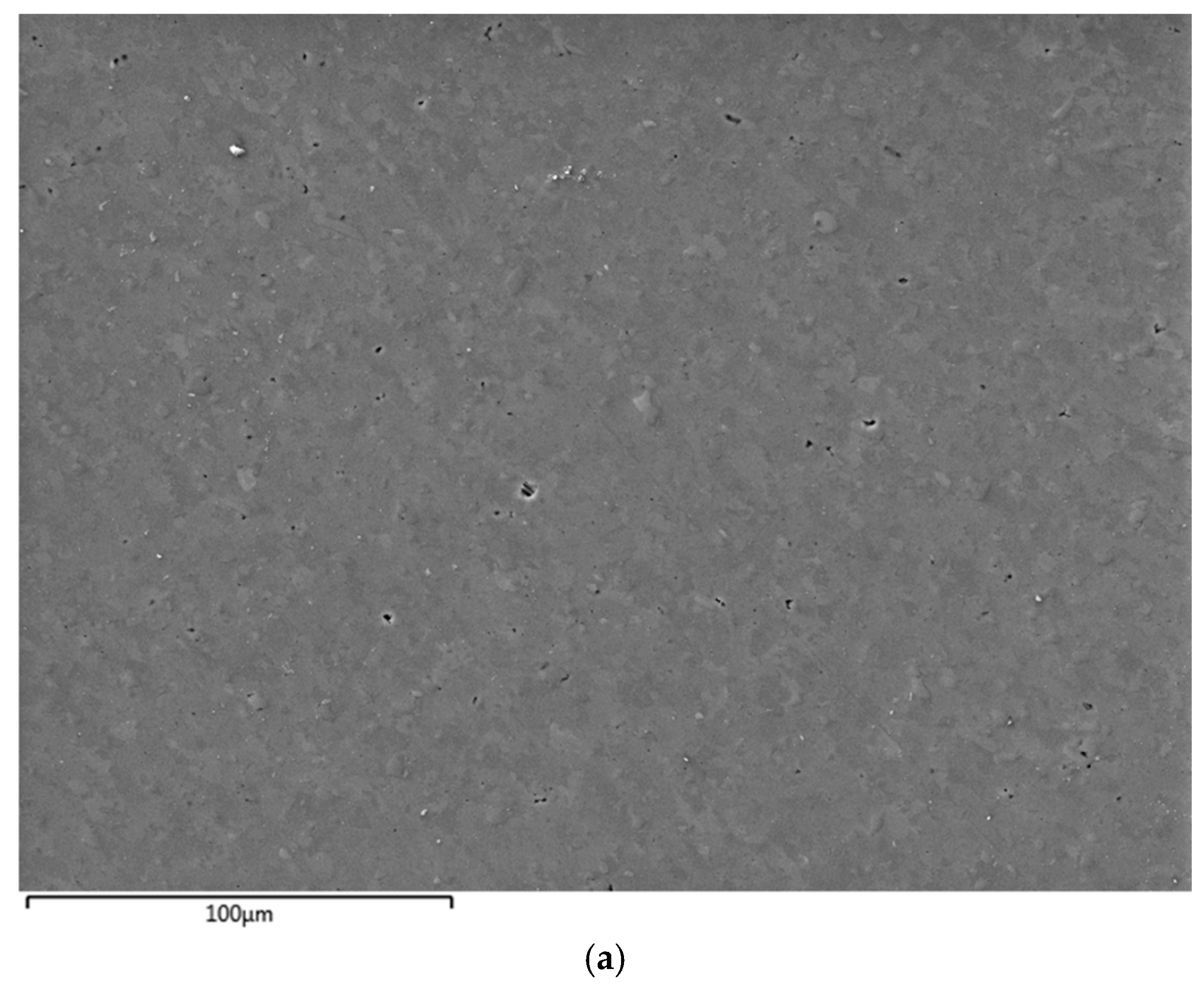 Metals 15 01309 g006a