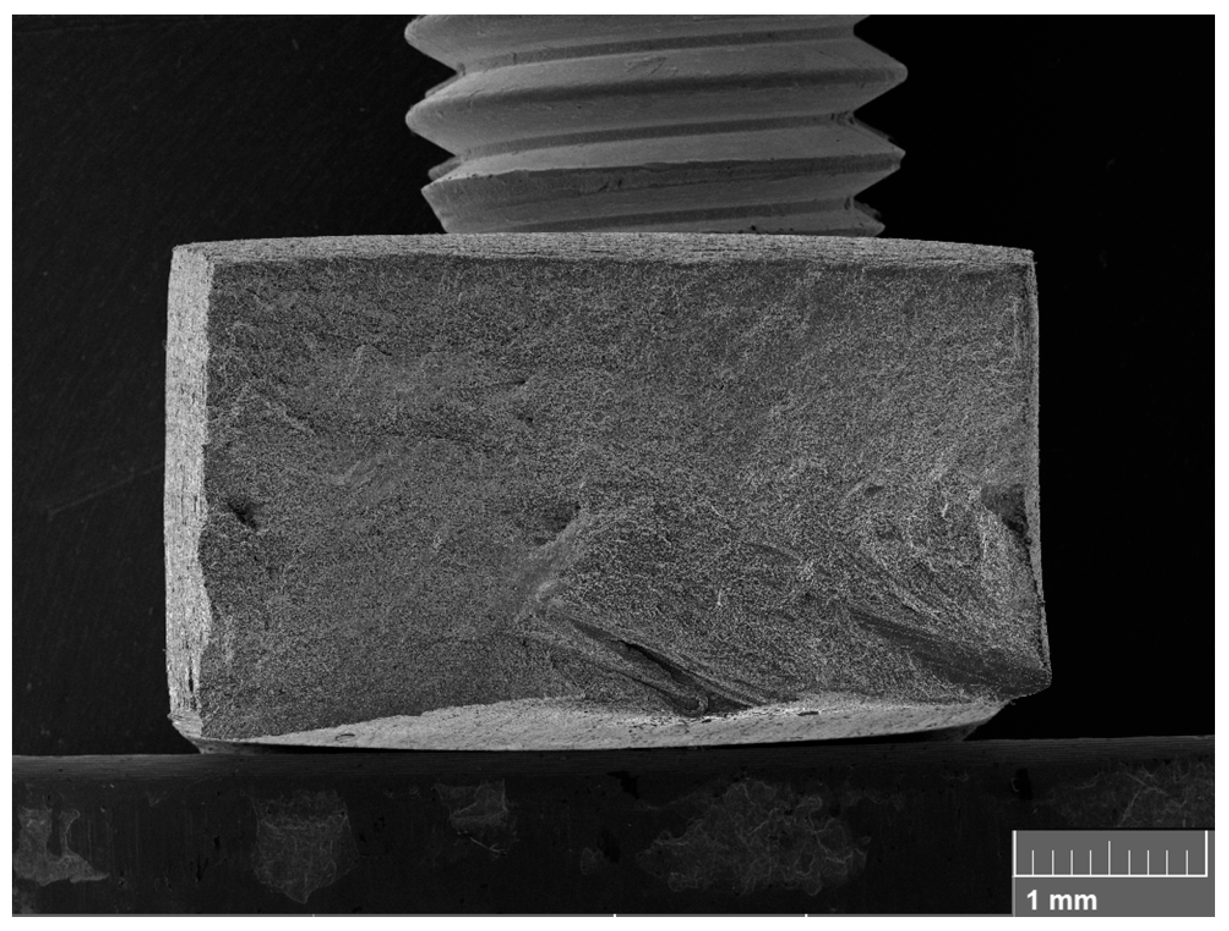 Metals 15 01309 g009