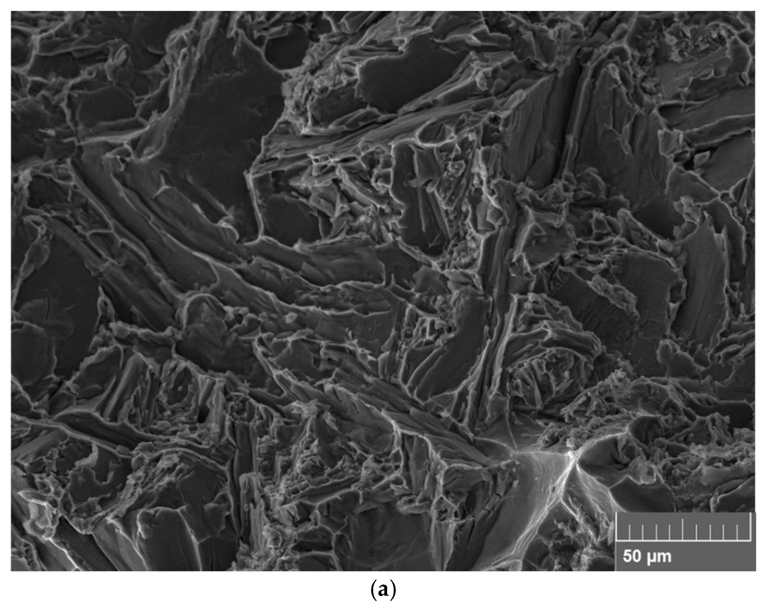 Metals 15 01309 g010a