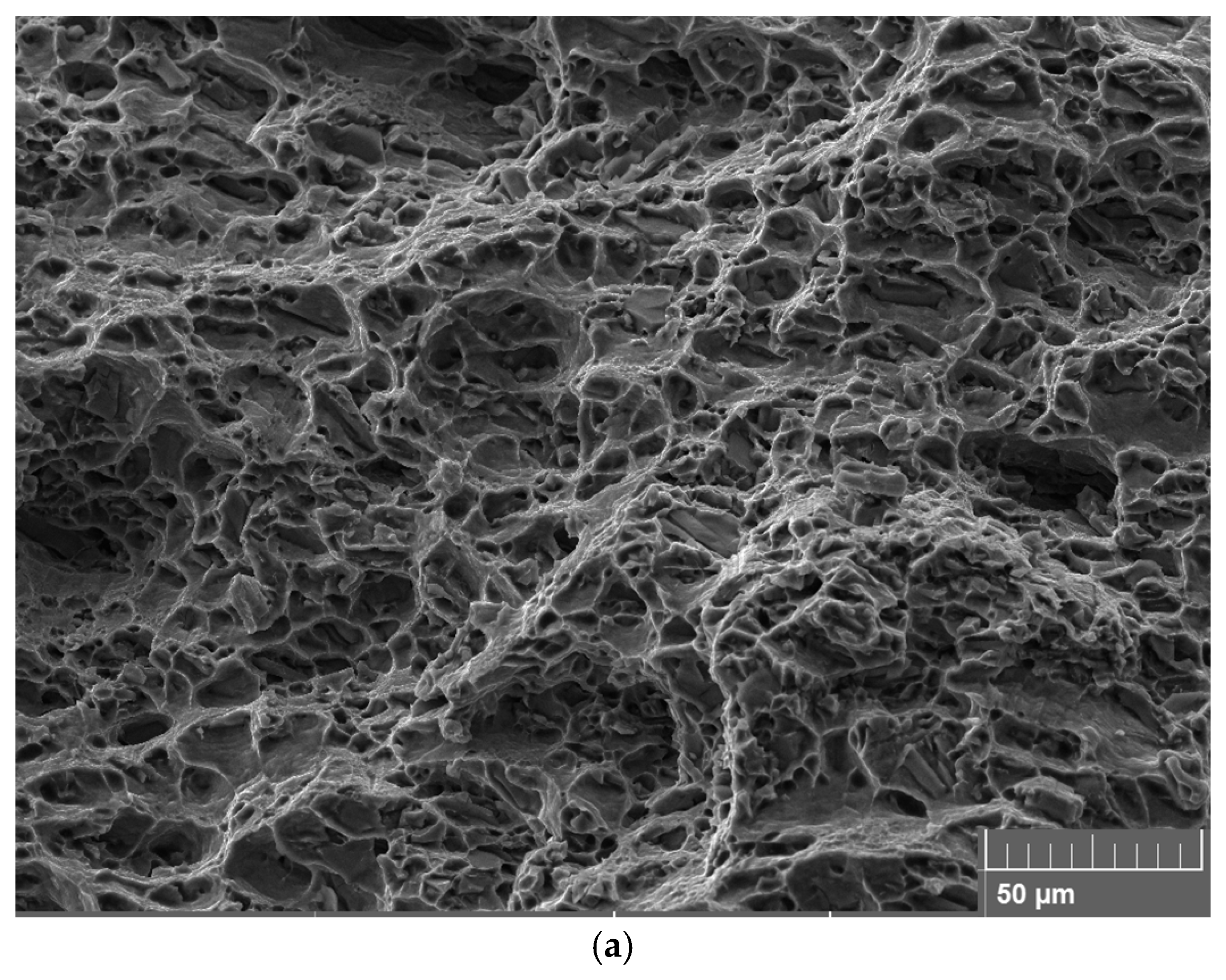 Metals 15 01309 g011a