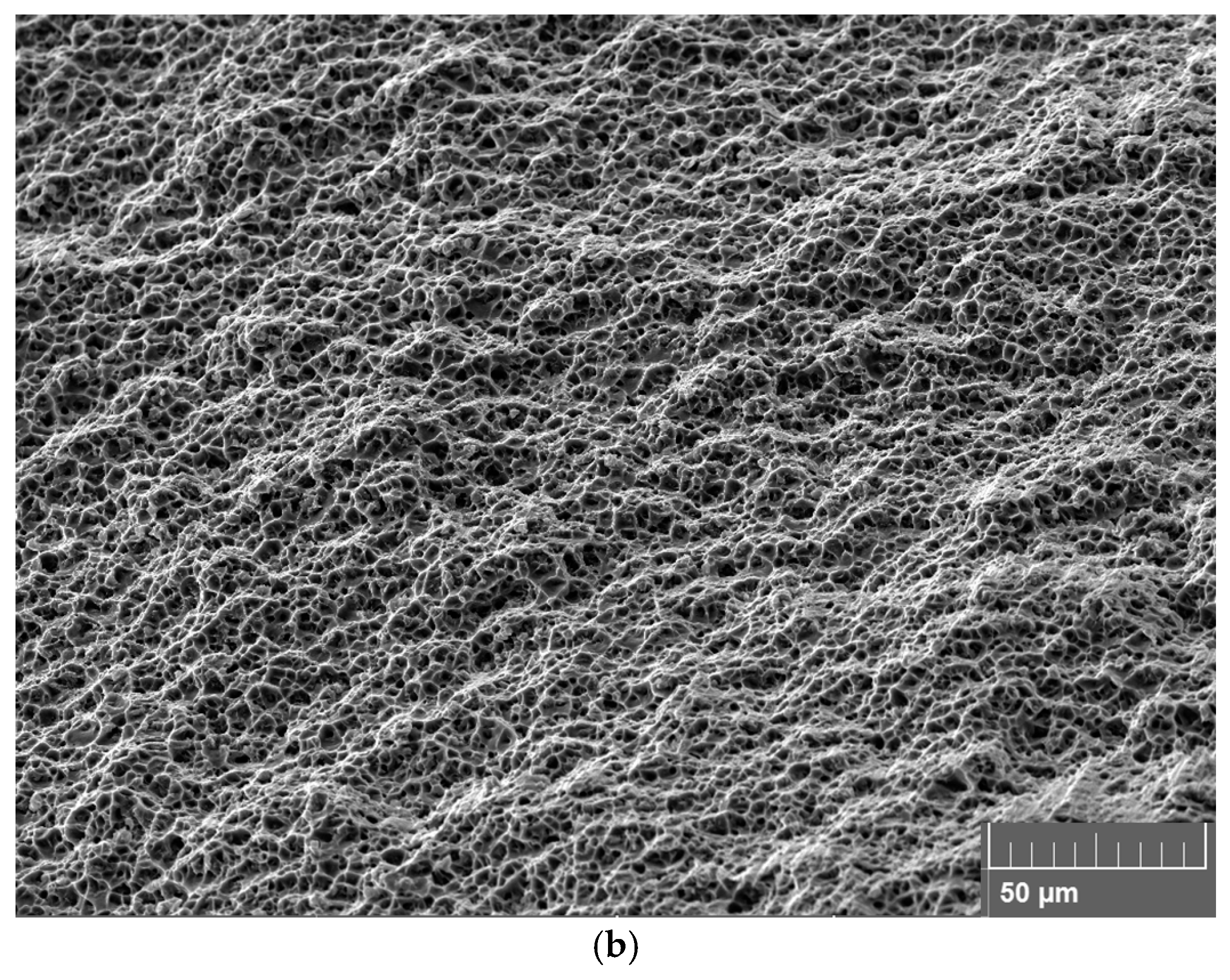 Metals 15 01309 g011b