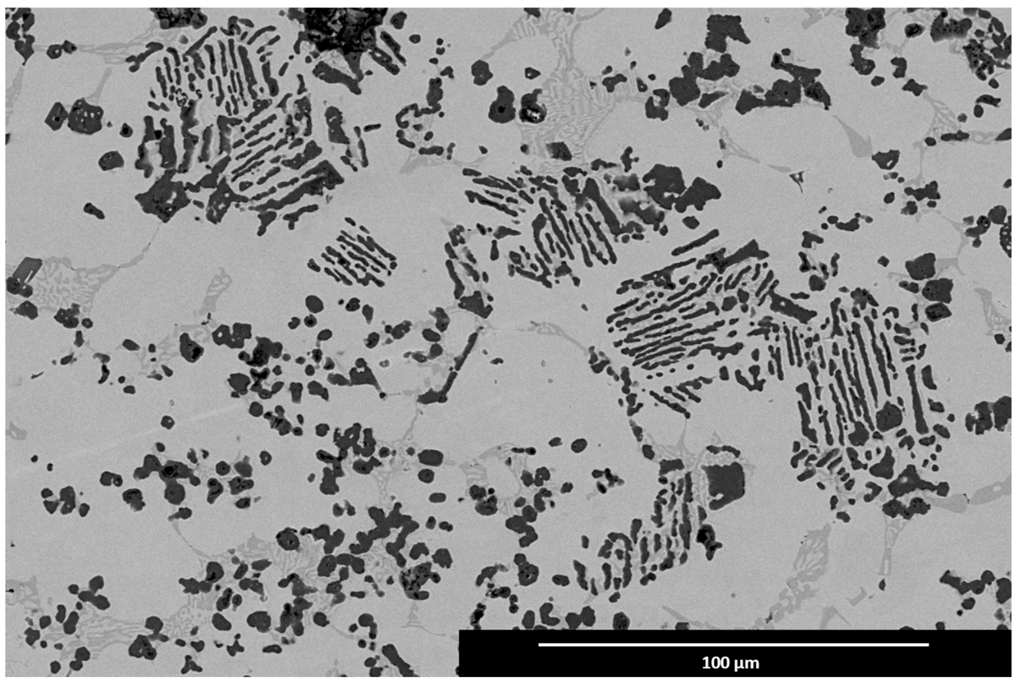 Metals 15 01322 g010