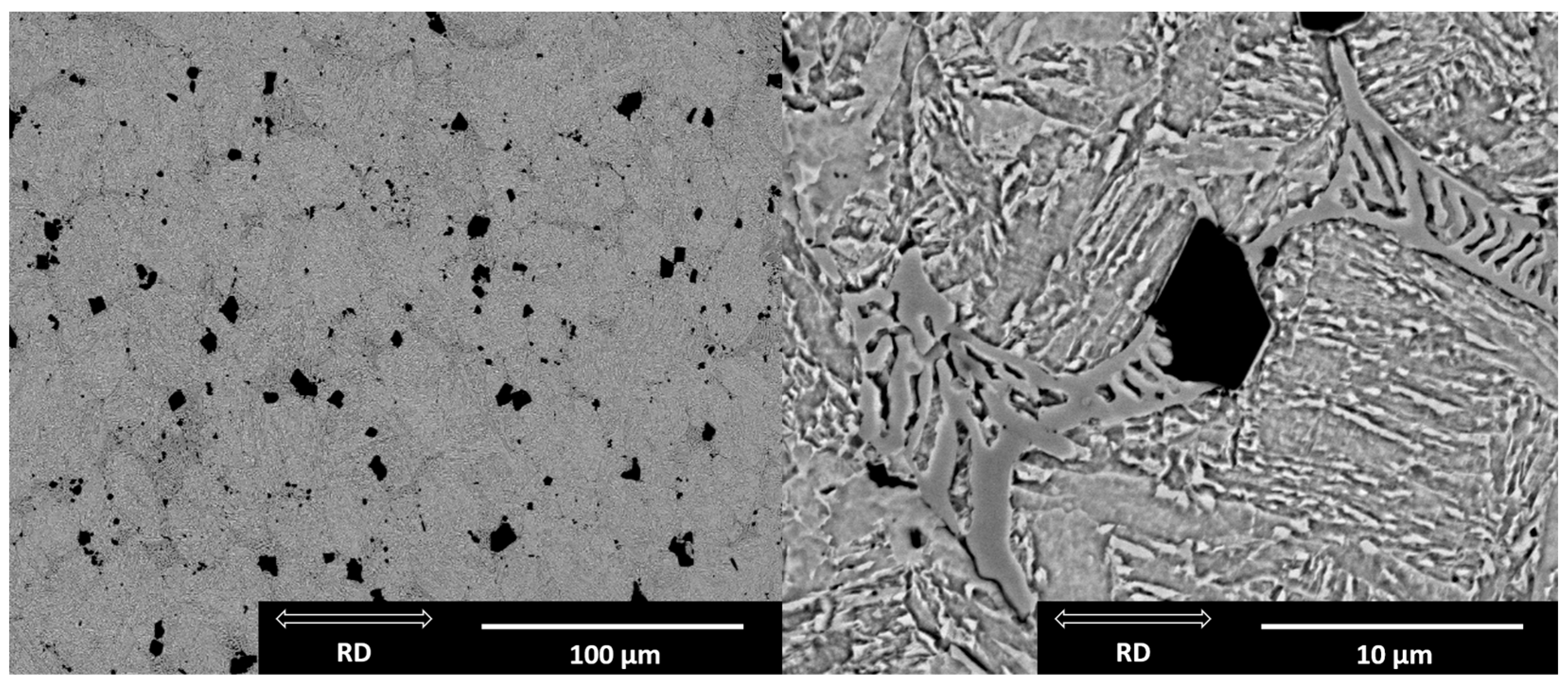 Metals 15 01322 g012