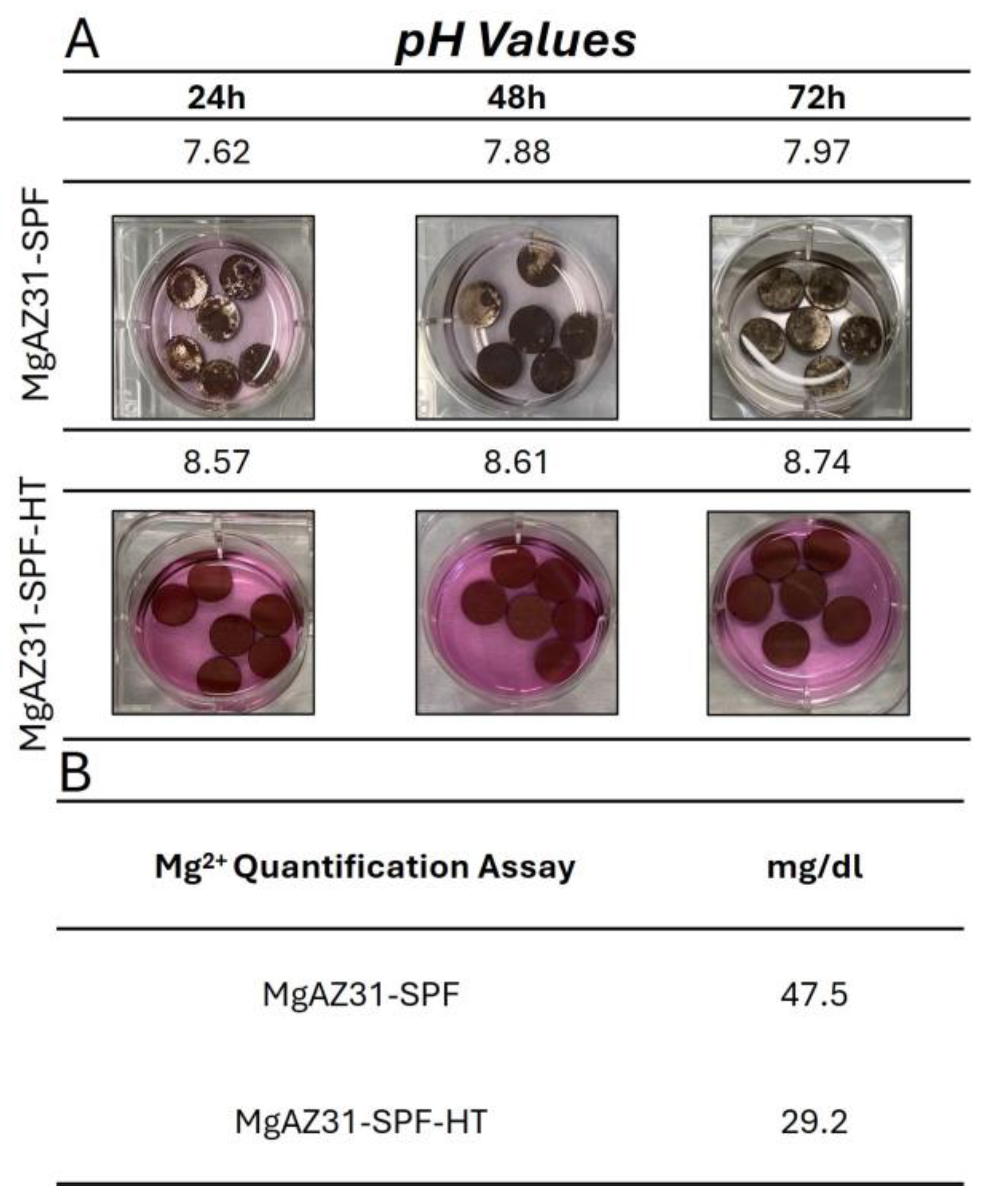 Metals 15 01328 g001 Metals 15 01328 g001